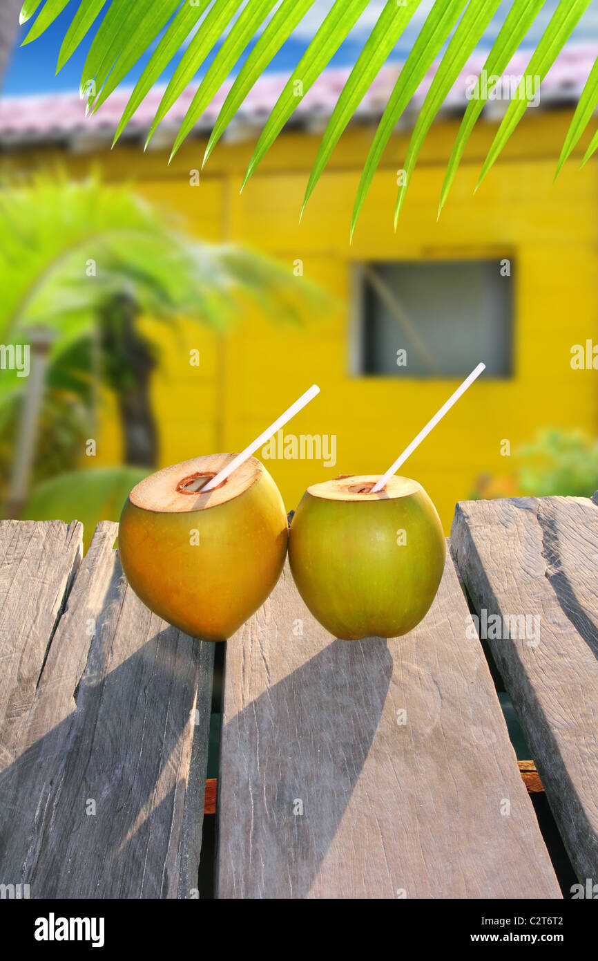 fresh coconuts straw cocktail tropical caribbean yellow house palm trees Stock Photo