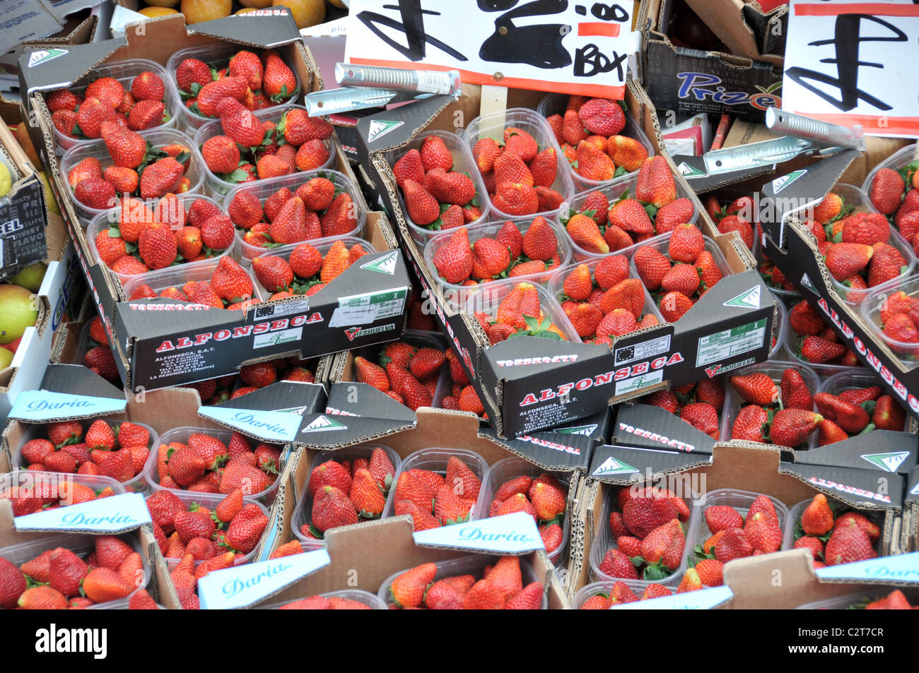 English summer strawberries strawberry punnett fruits fruit market stall Stock Photo