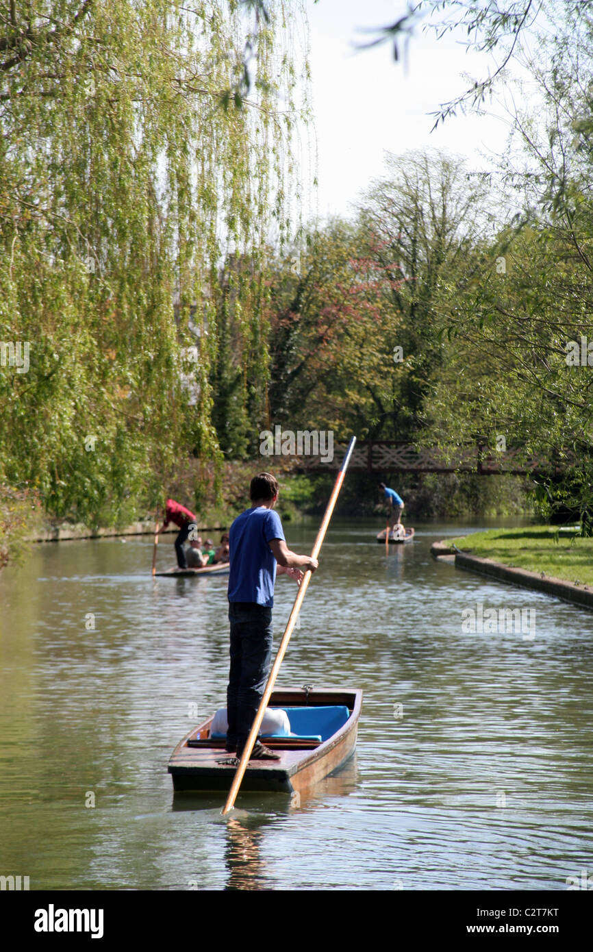 Punters on the River Cam in Cambridge, Cambridgeshire, England, UK Stock Photo