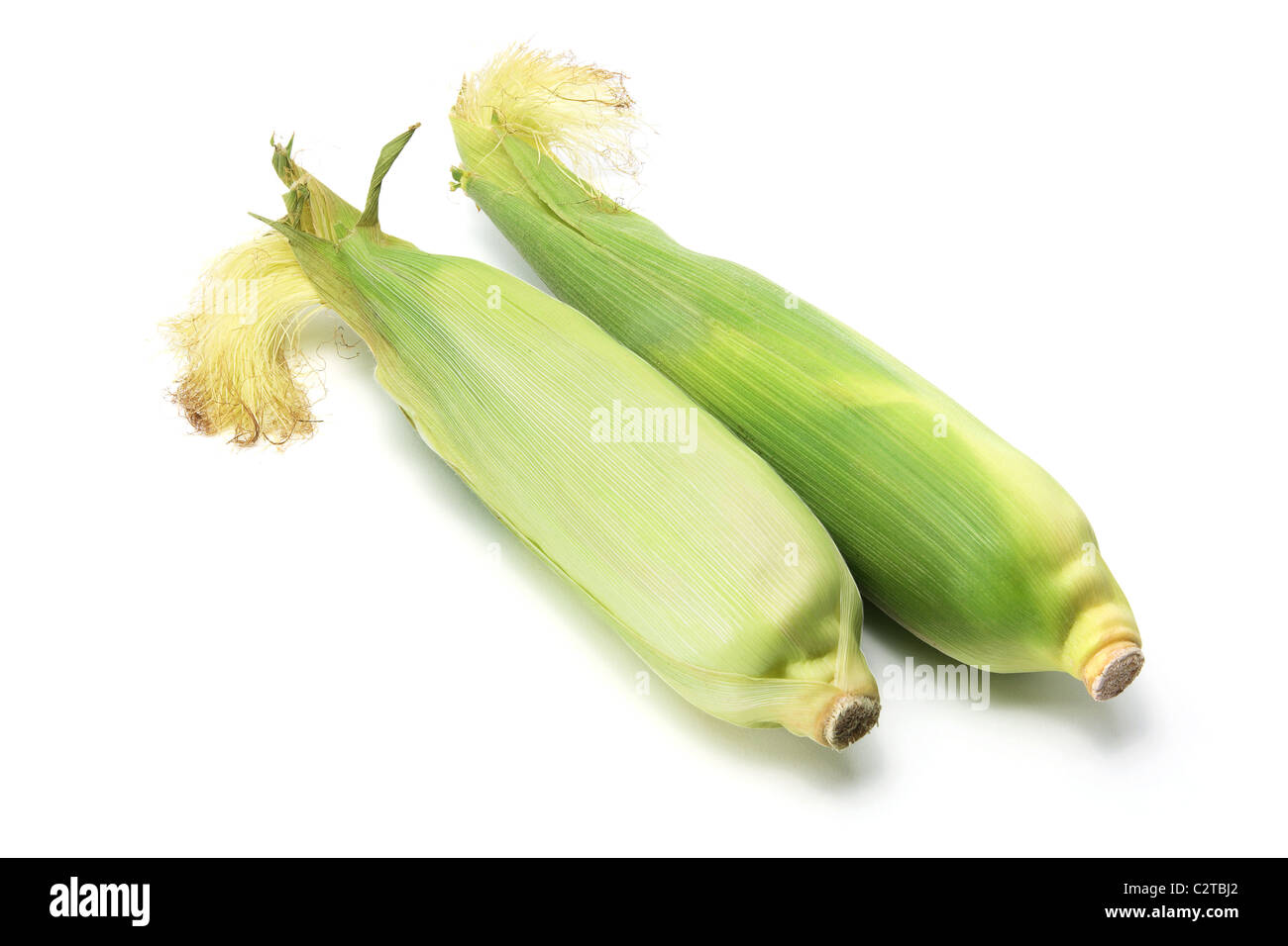 Corn Cobs Stock Photo