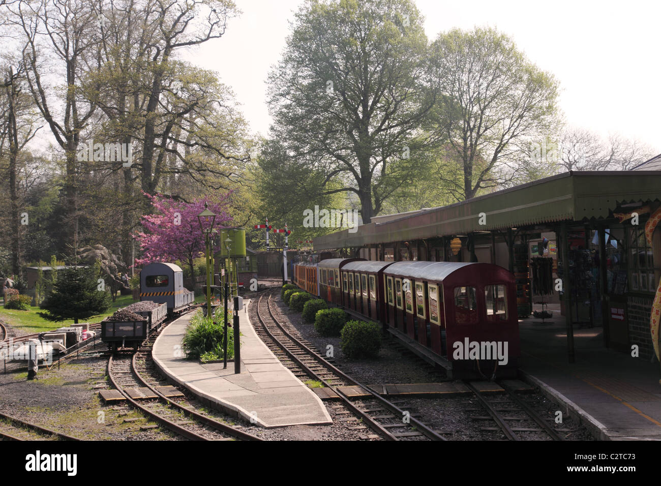 Narrow gauge steam railway an attraction at Longleat, Warminster, England Stock Photo