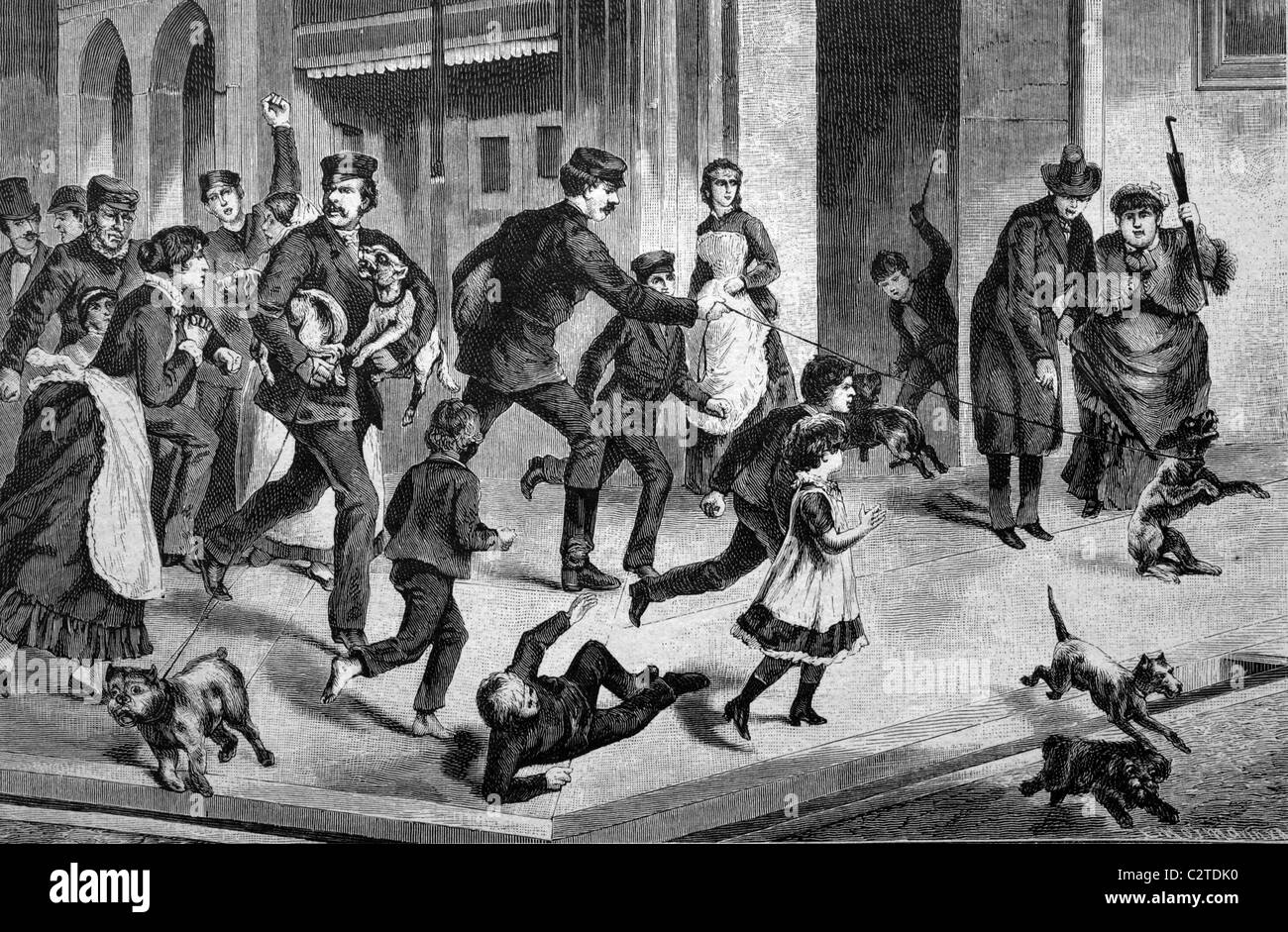 Dog catchers in Berlin, Germany, historical illustration, circa 1886 Stock Photo