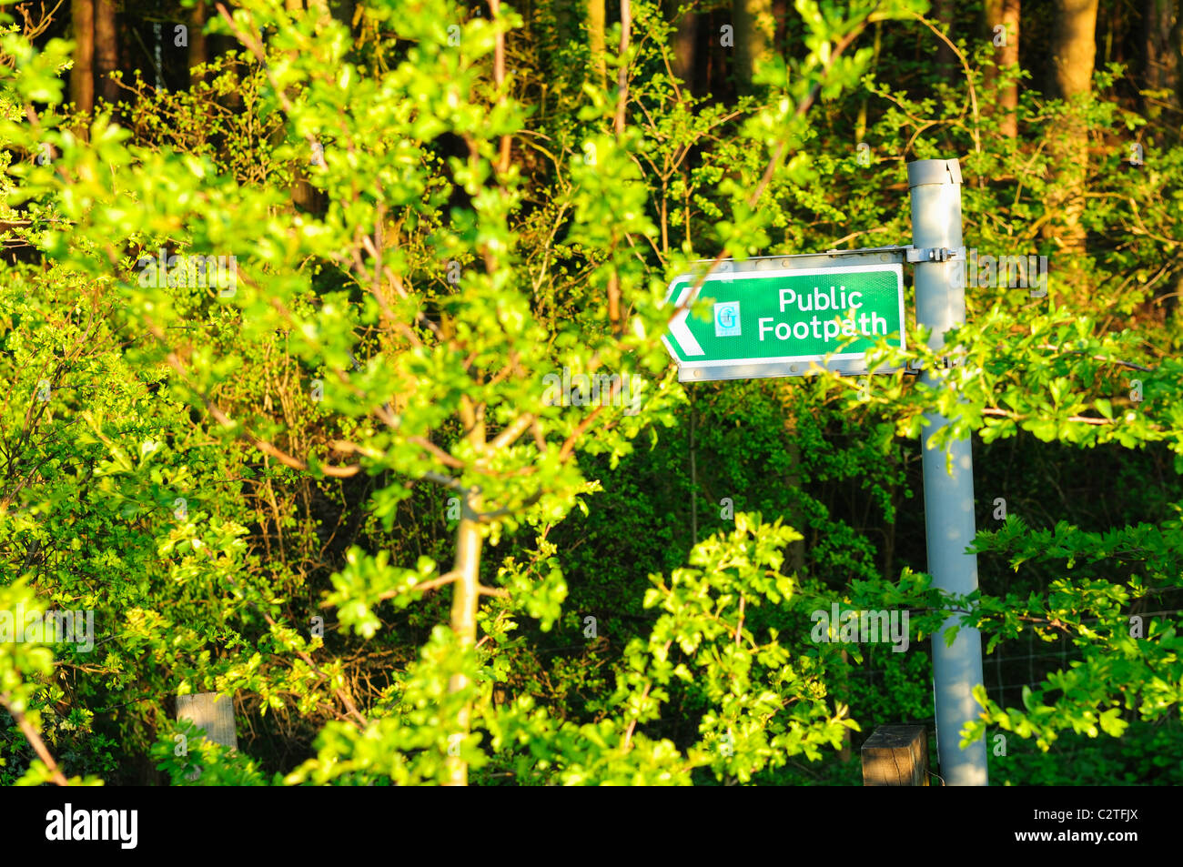 Hidden spring sign hi-res stock photography and images - Alamy