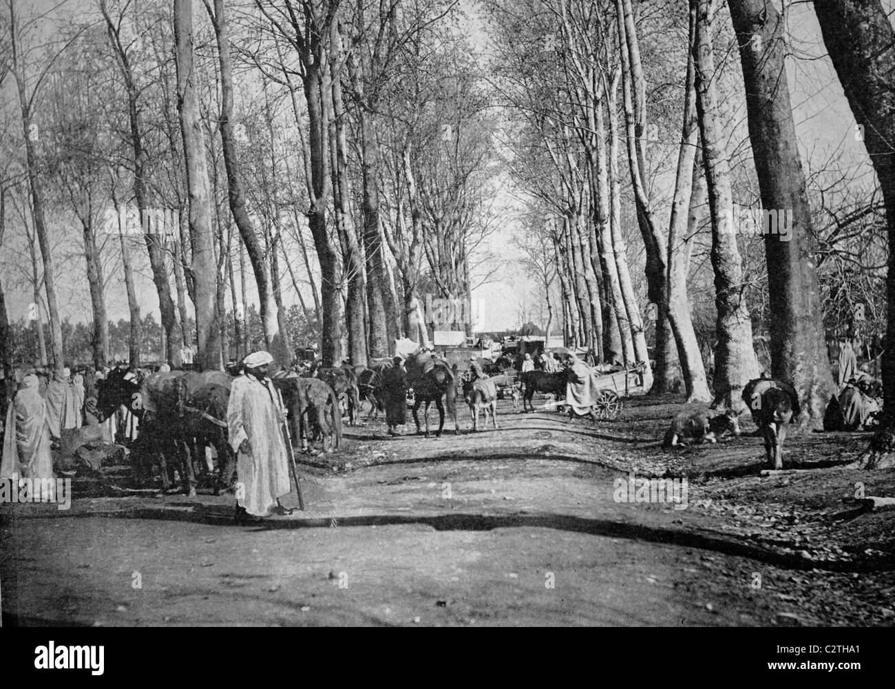 Early autotype of Boufarik, Algeria, historical picture, 1884 Stock Photo