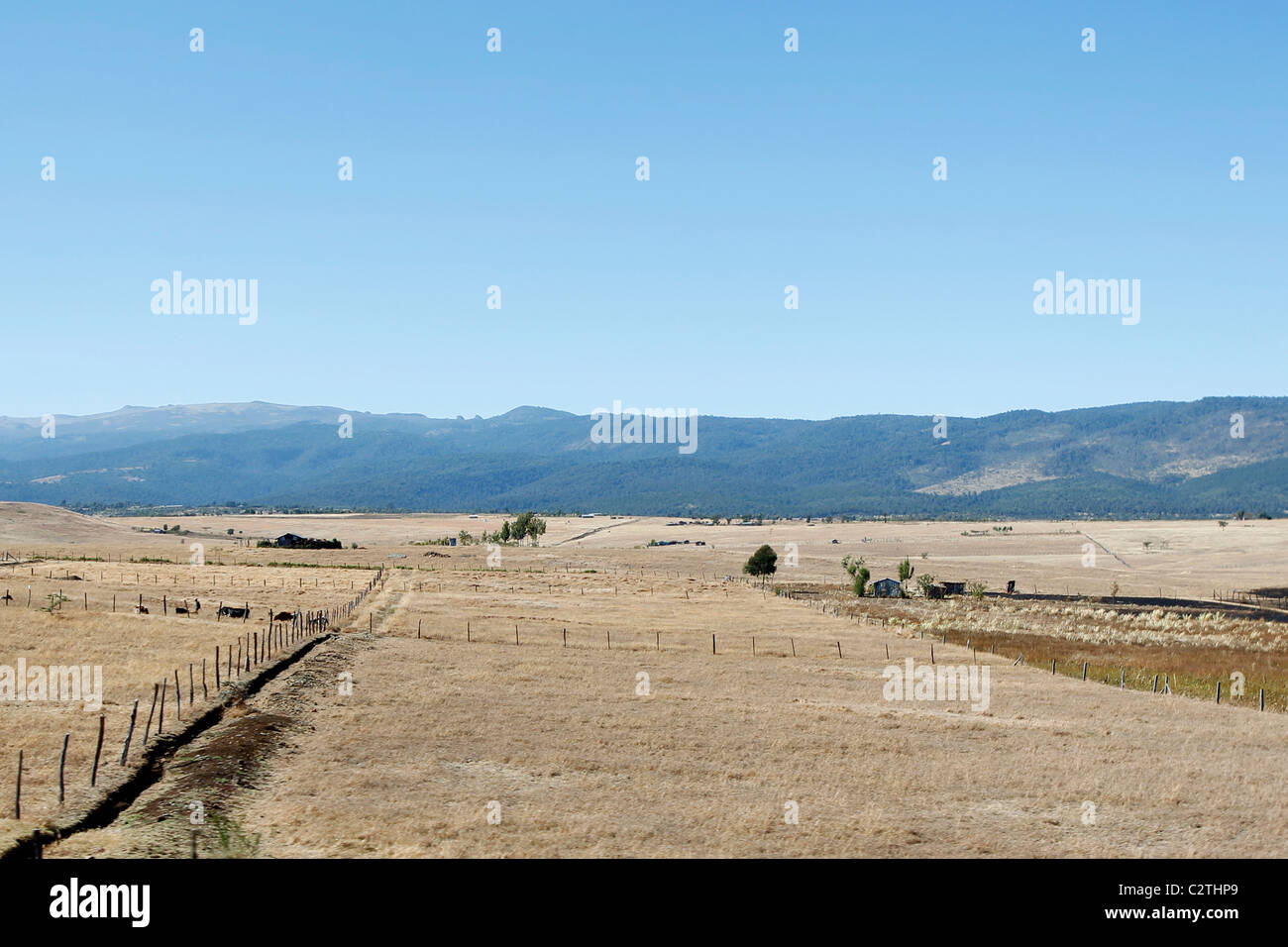 A landscape view of farmland in Kenya Stock Photo Alamy