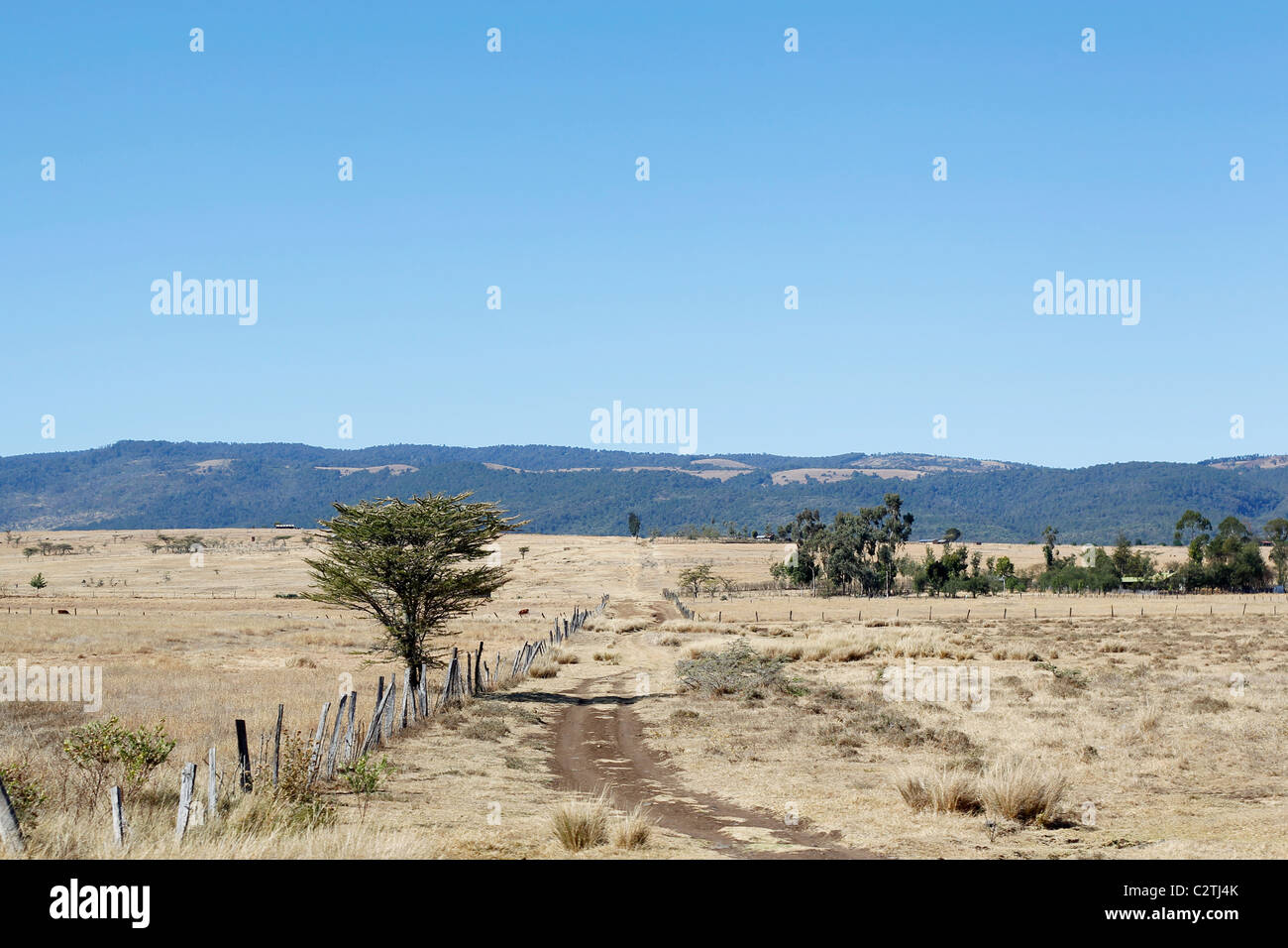 A landscape view of farmland in Kenya Stock Photo Alamy