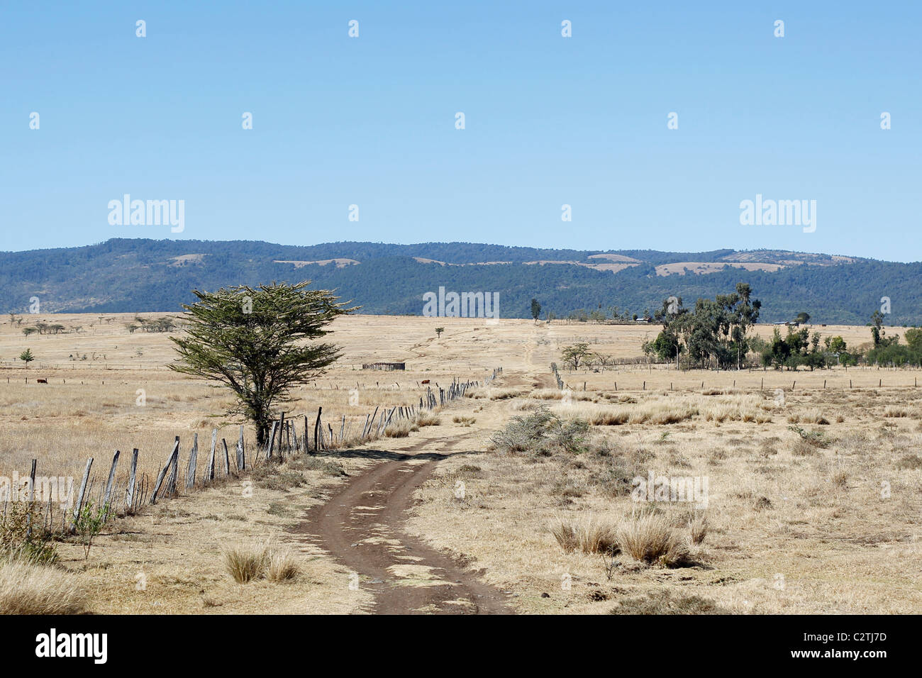A landscape view of farmland in Kenya Stock Photo Alamy