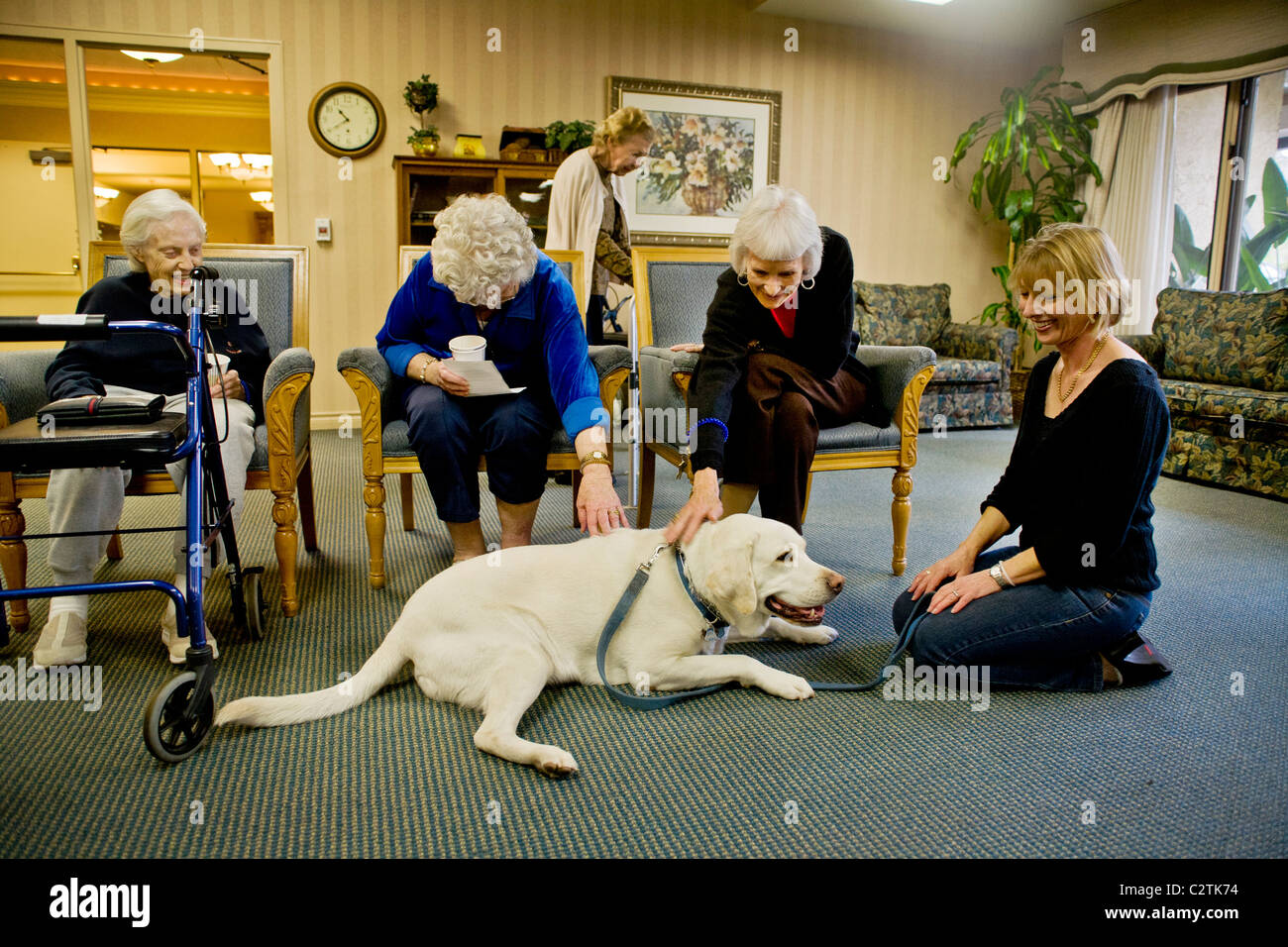 Nursing home residents in Mission Viejo, CA, play with  'therapy dogs' brought by volunteers to provide companionship. Stock Photo