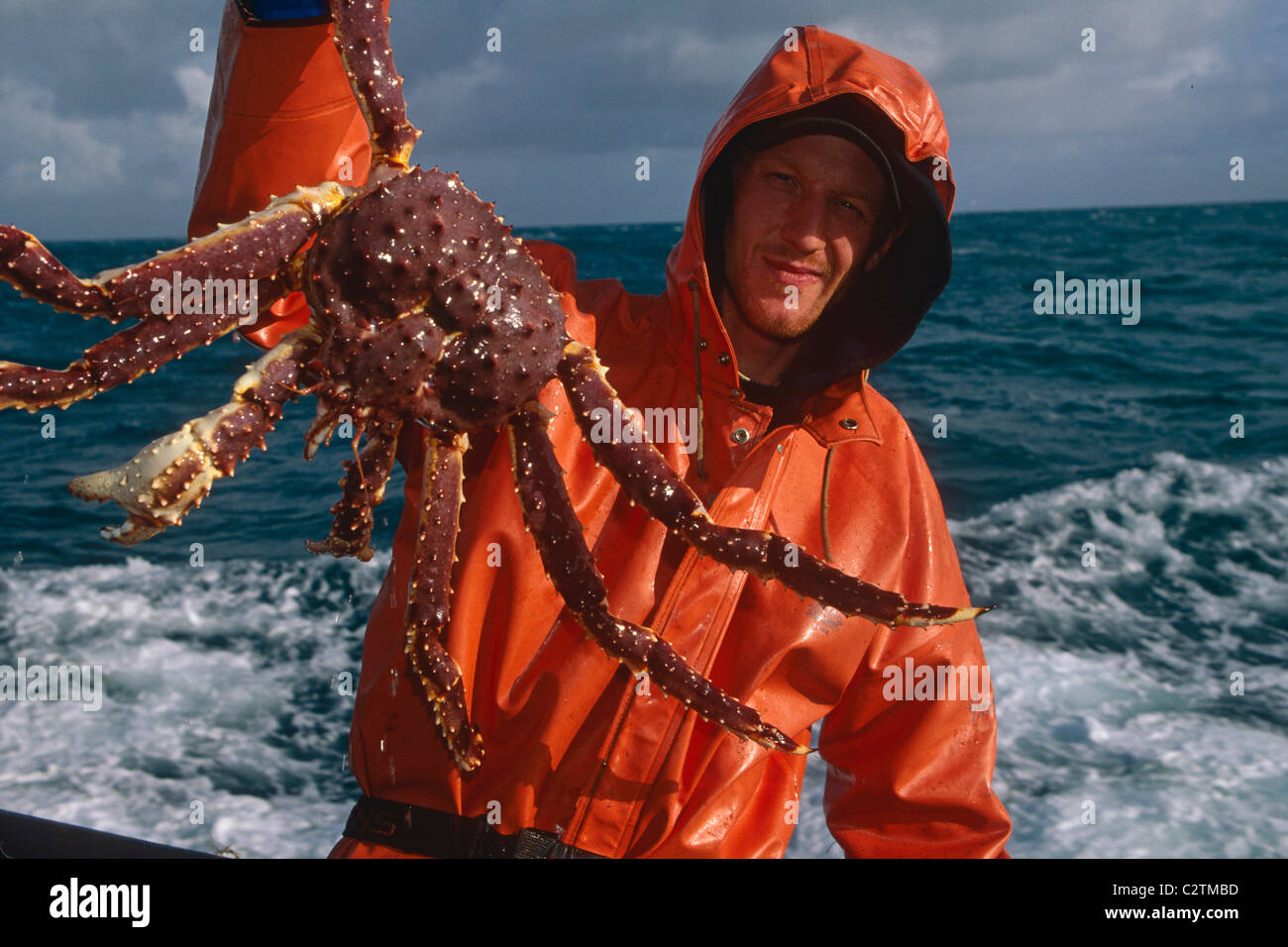 Fisherman and King Crab Bering Sea SW AK/nf/v Amatuli Stock Photo Alamy