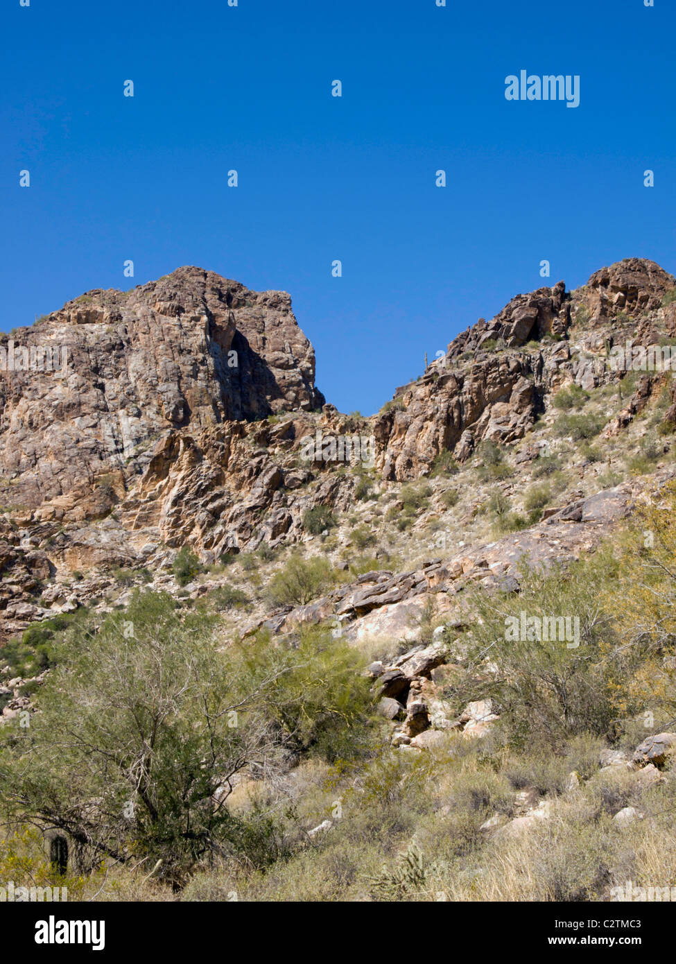 Escape to the Wild West: Your Guide to Arizona's White Tank Regional Park