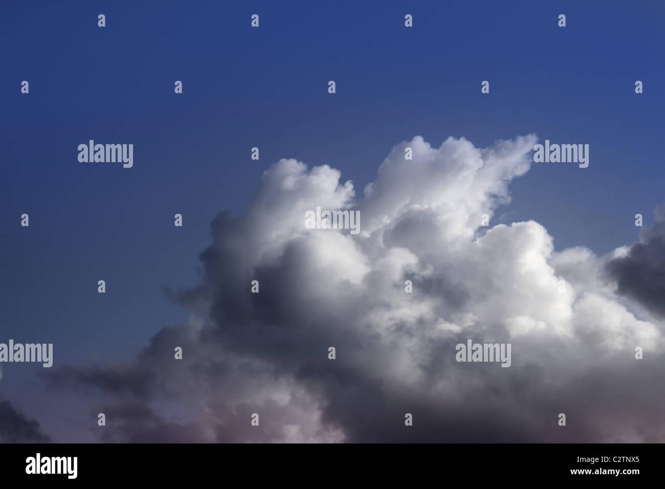 dramatic clouds skyscape with organic cumulus shapes Stock Photo