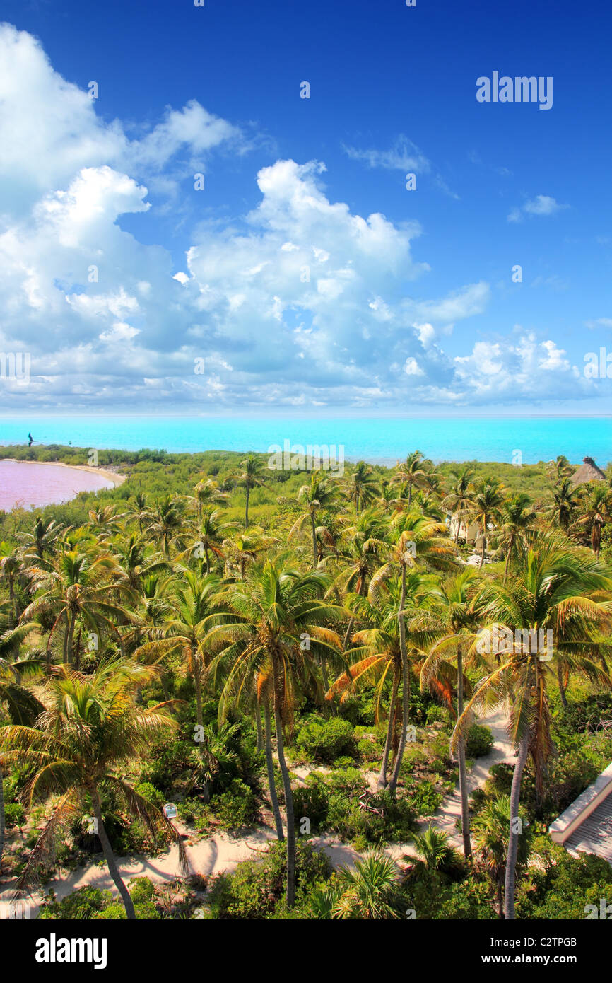 aerial view Contoy tropical caribbean island Mexico palm trees and sea Stock Photo