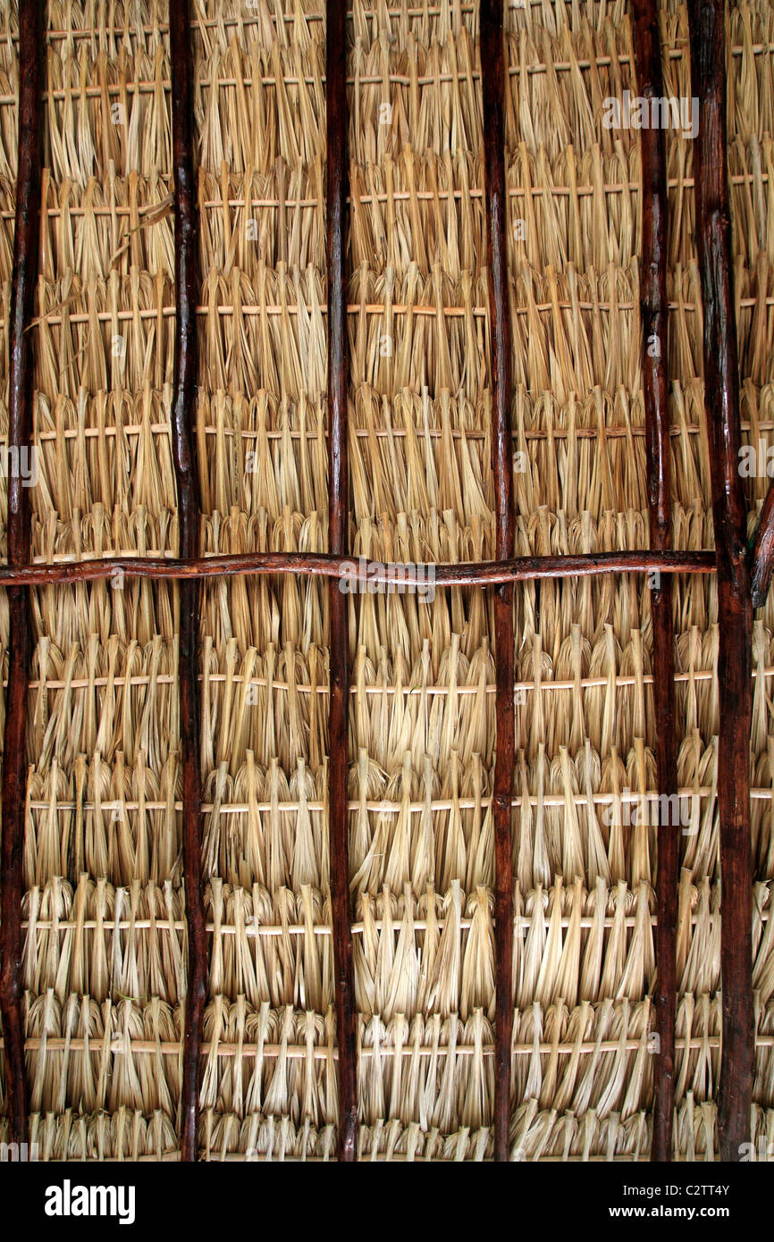 dried palm tree leaves palapa roof and beams view from under Stock Photo