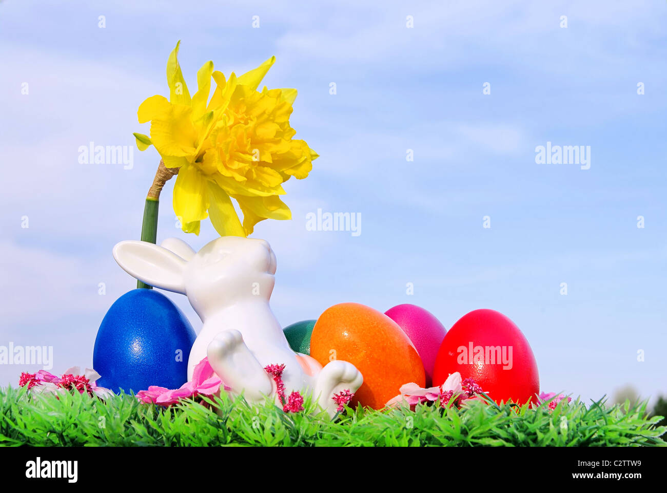 Osterhase auf Blumenwiese - easter bunny on flower meadow 03 Stock Photo