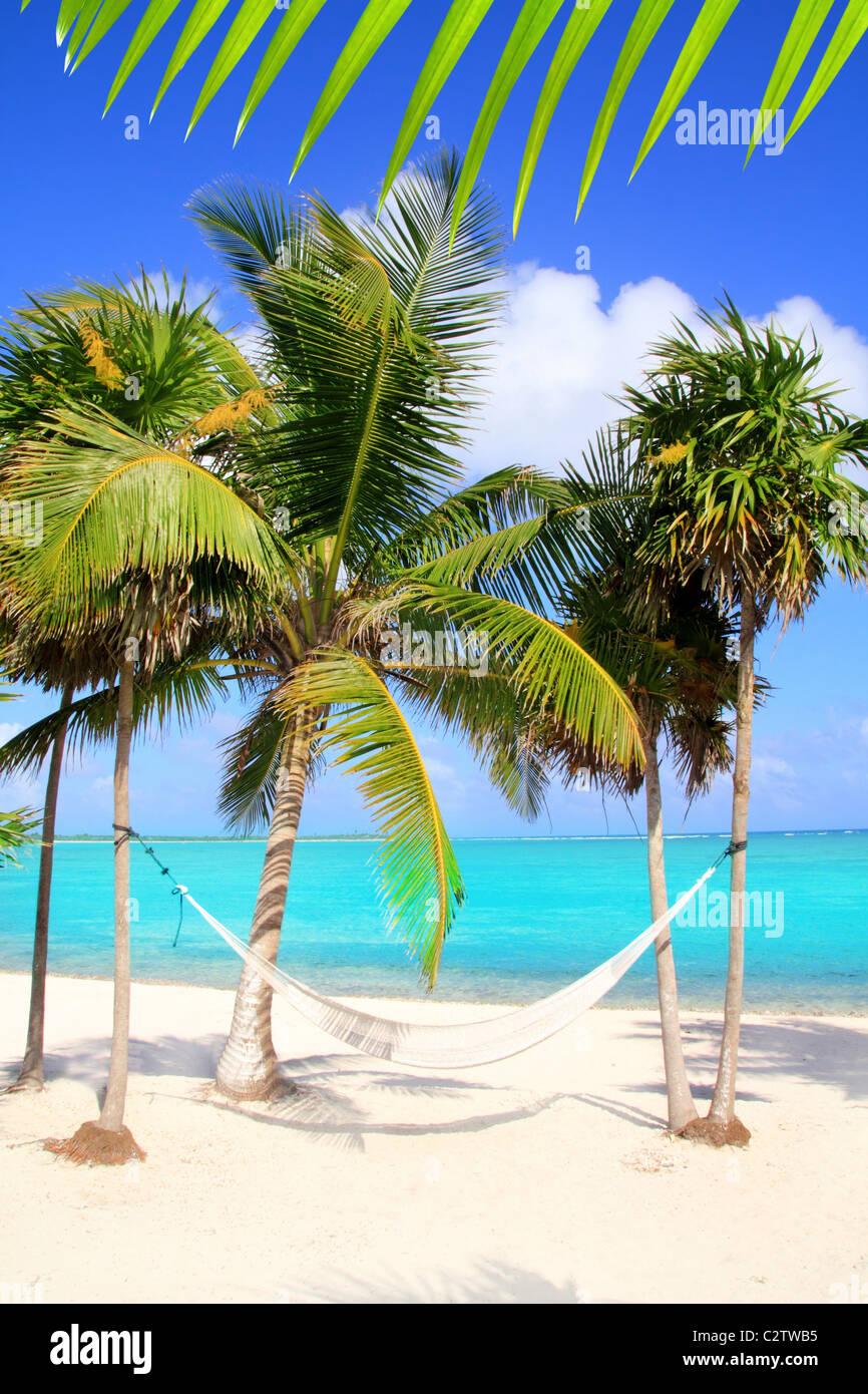 Caribbean sea with swing hammock turquoise beach Mayan Rivera Stock Photo