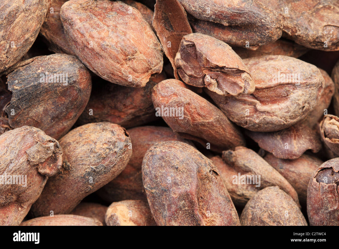 macro image of cocoa or cacao beans Stock Photo