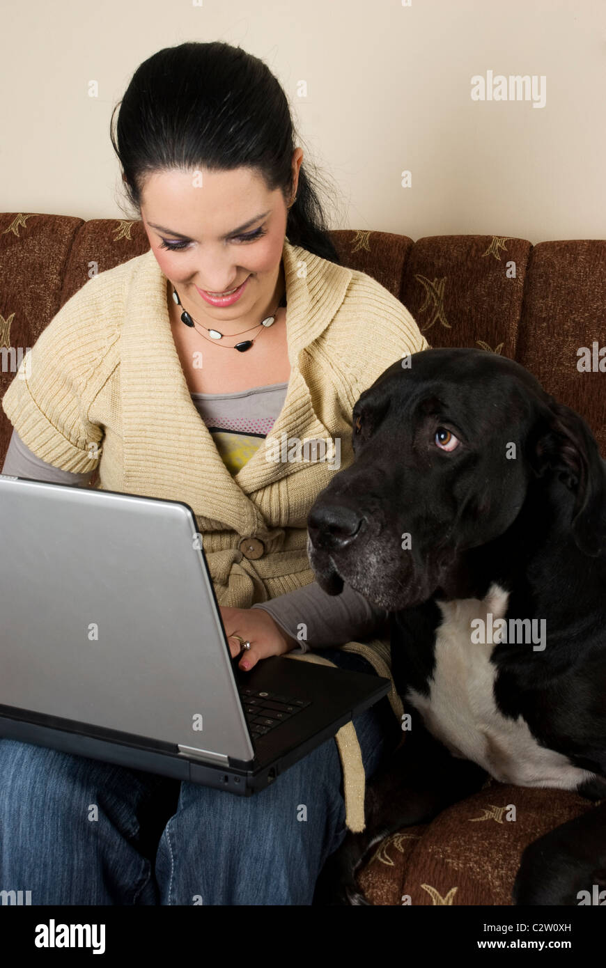 Why Does My Younger Dogsit On My Older Dog