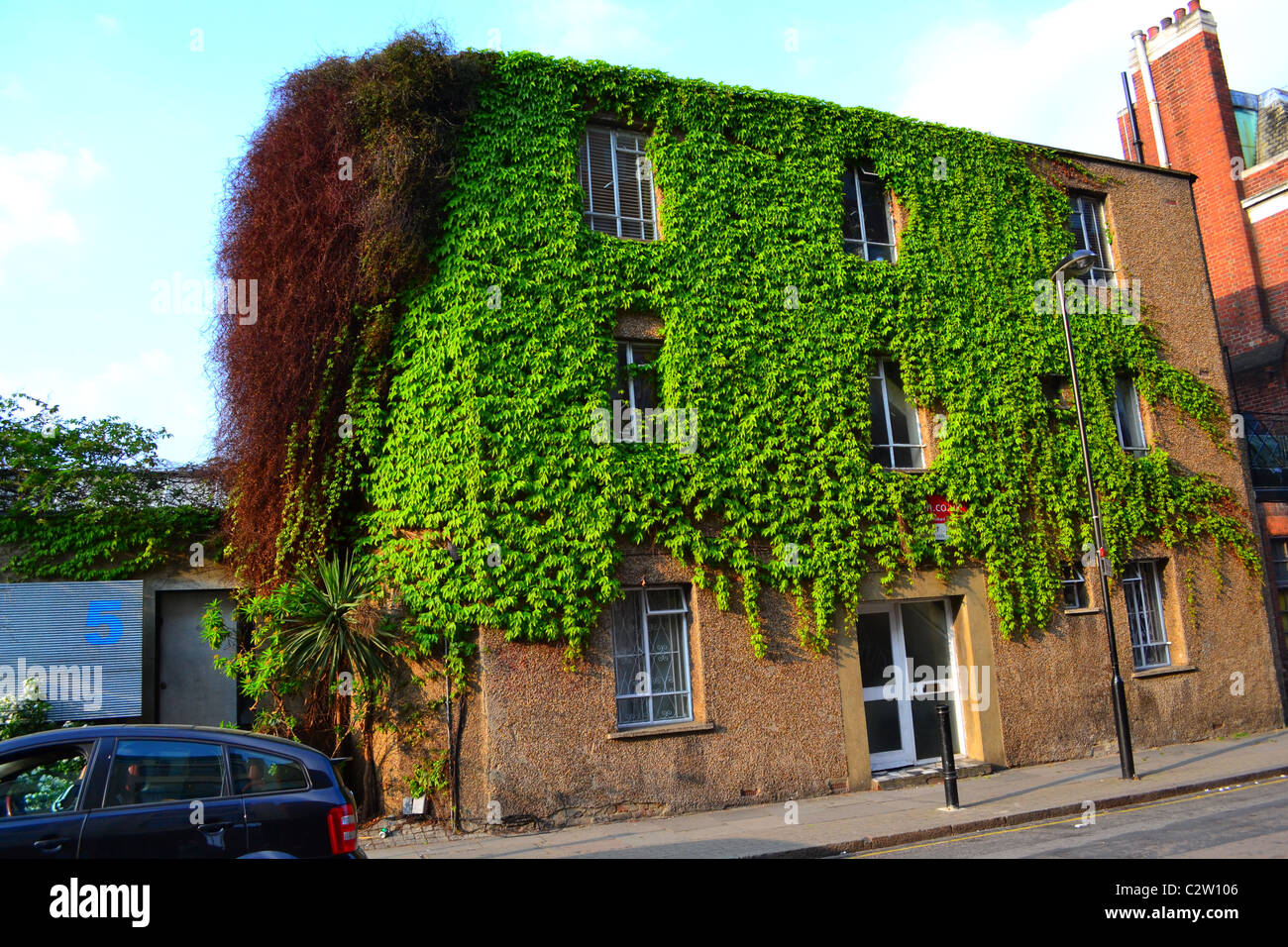 Ivy covered house in Islington, London, UK ARTIFEX LUCIS Stock Photo ...