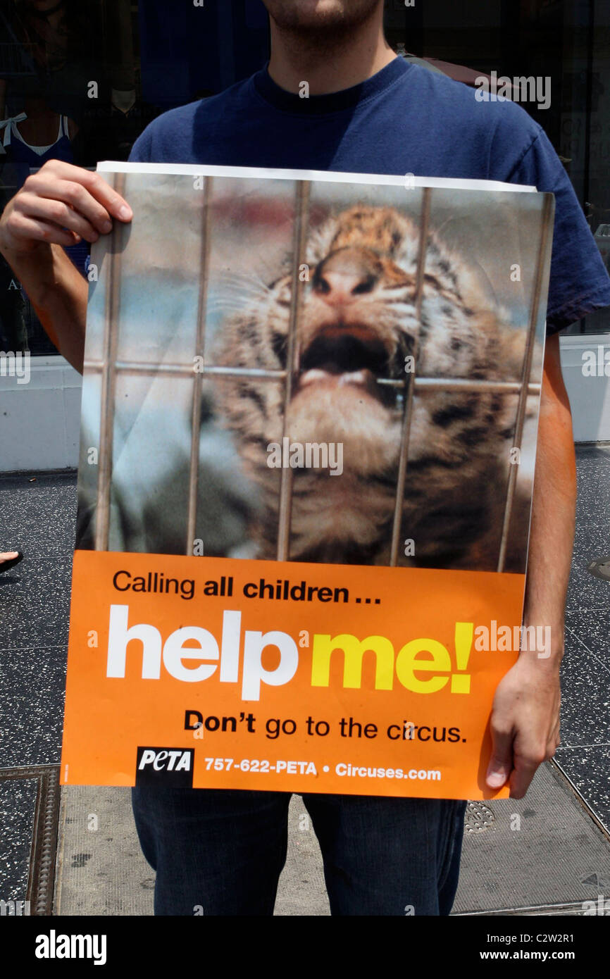 Members of the People for the Ethical Treatment of Animals (PETA) protest  the circus' abuse of animals, at Hollywood and Stock Photo - Alamy