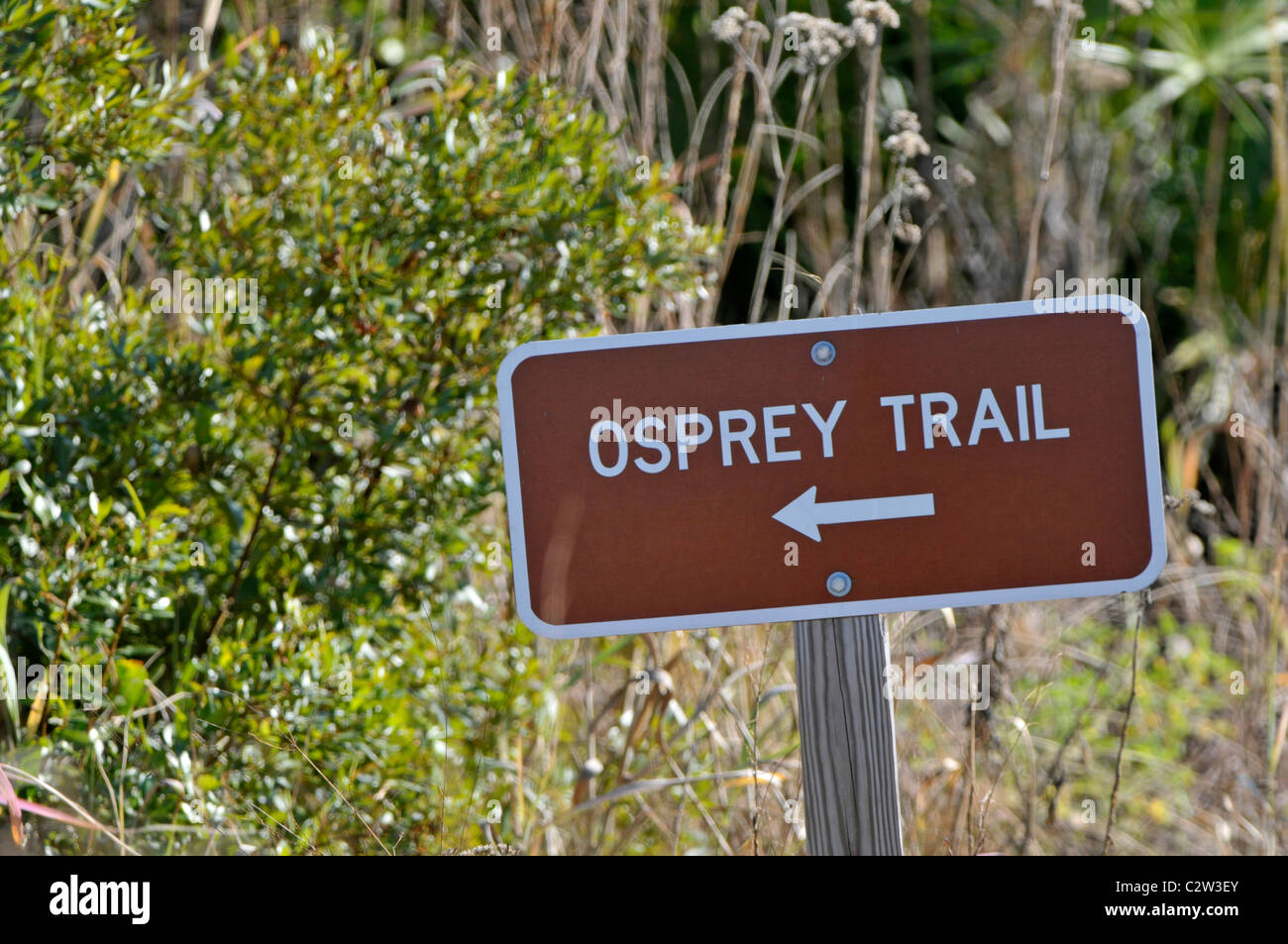 Osprey trail honeymoon island florida hires stock photography and