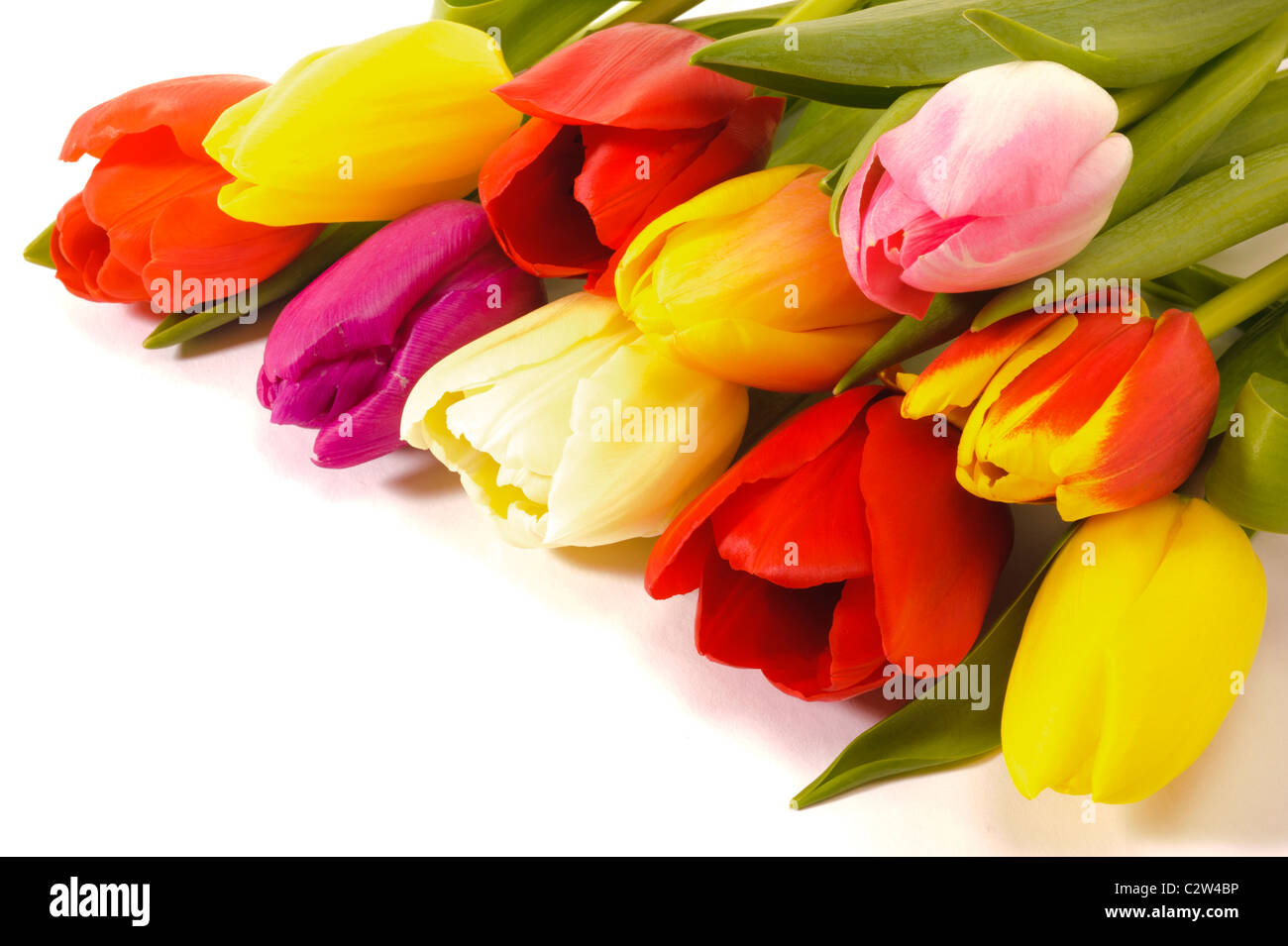 bunch of tulips Stock Photo - Alamy