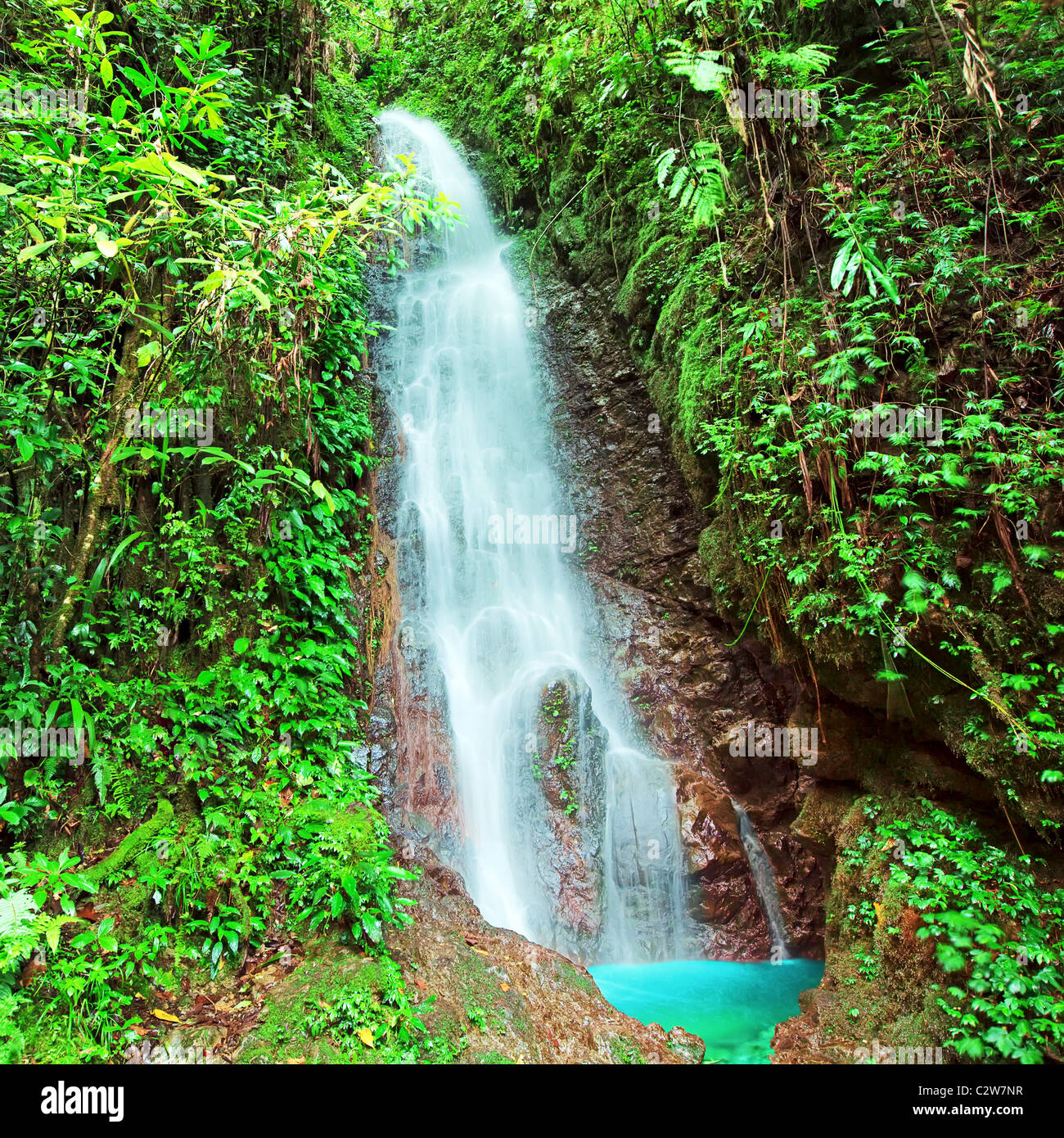 Waterfall in Kinabalu park at sunny day. Malaysia Stock Photo