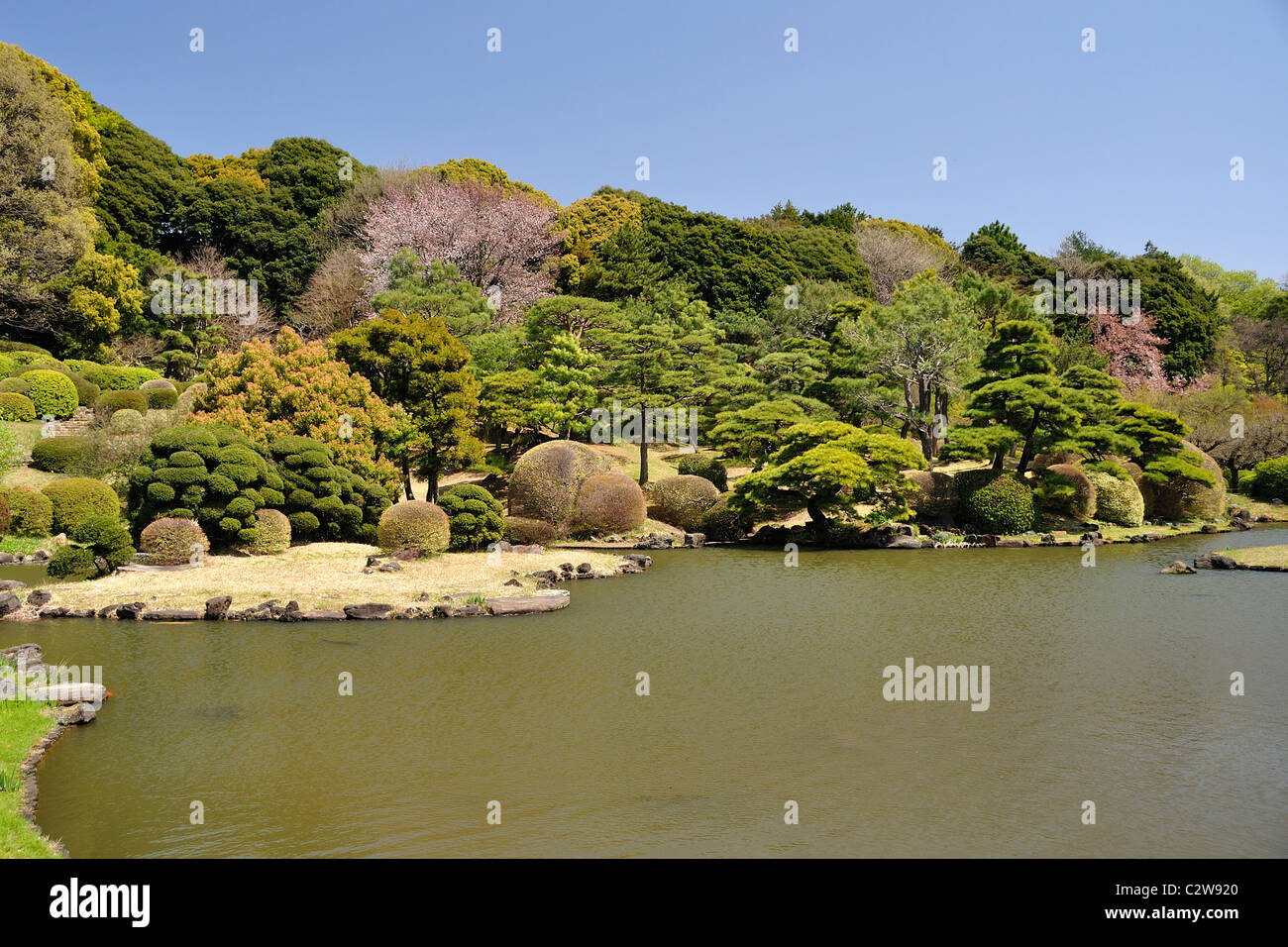 ⭐️極希少⭐️屋久杉刳抜⭐️花器⭐️置物⭐️オブジェ⭐️