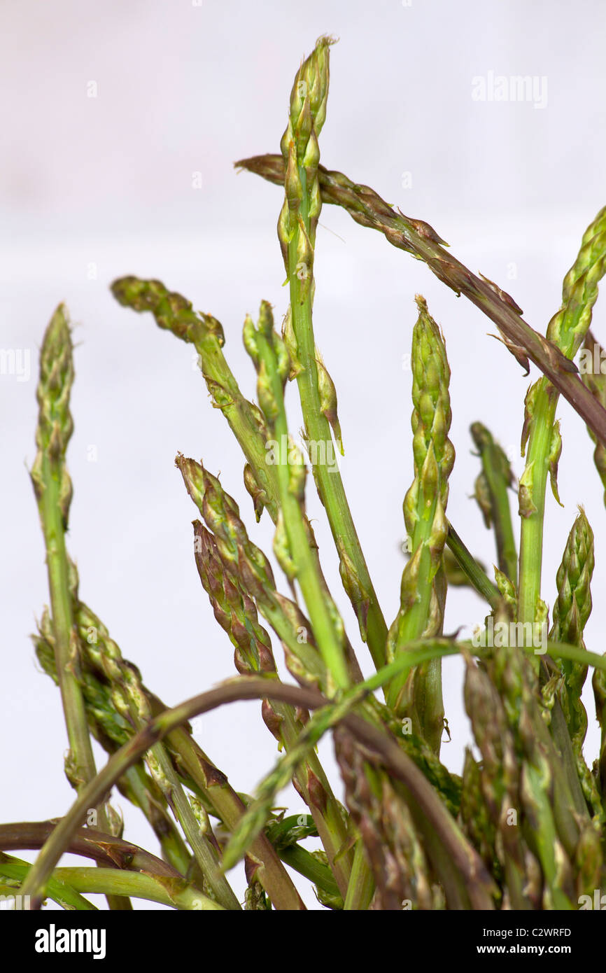 Bunch of fresh wild asparagus, shallow depth of the field Stock Photo