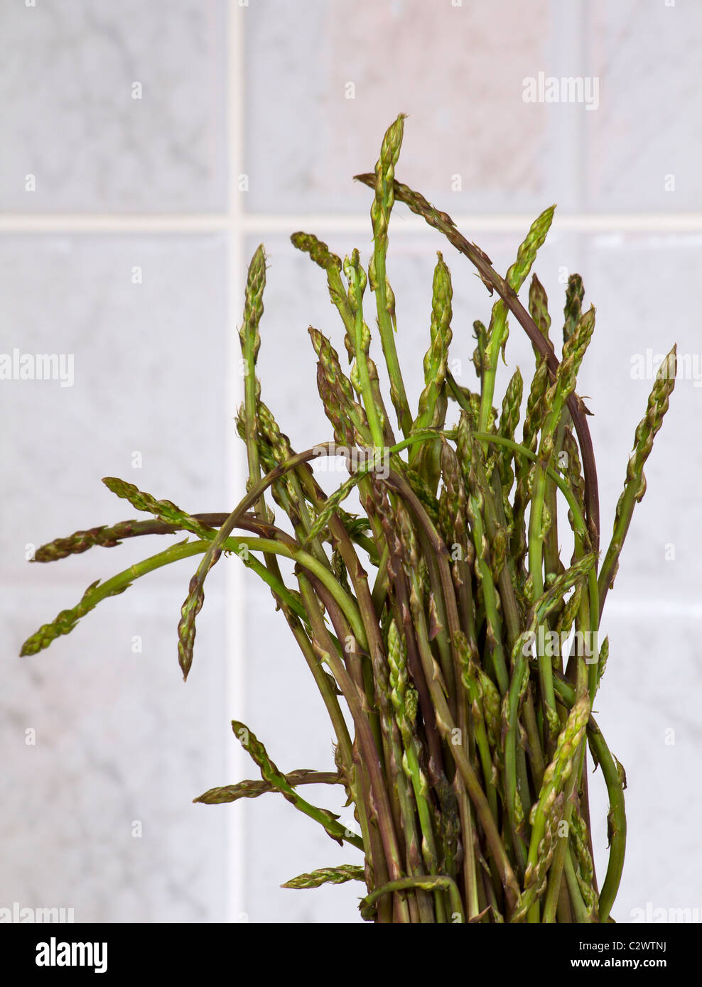 Bunch of fresh wild asparagus Stock Photo