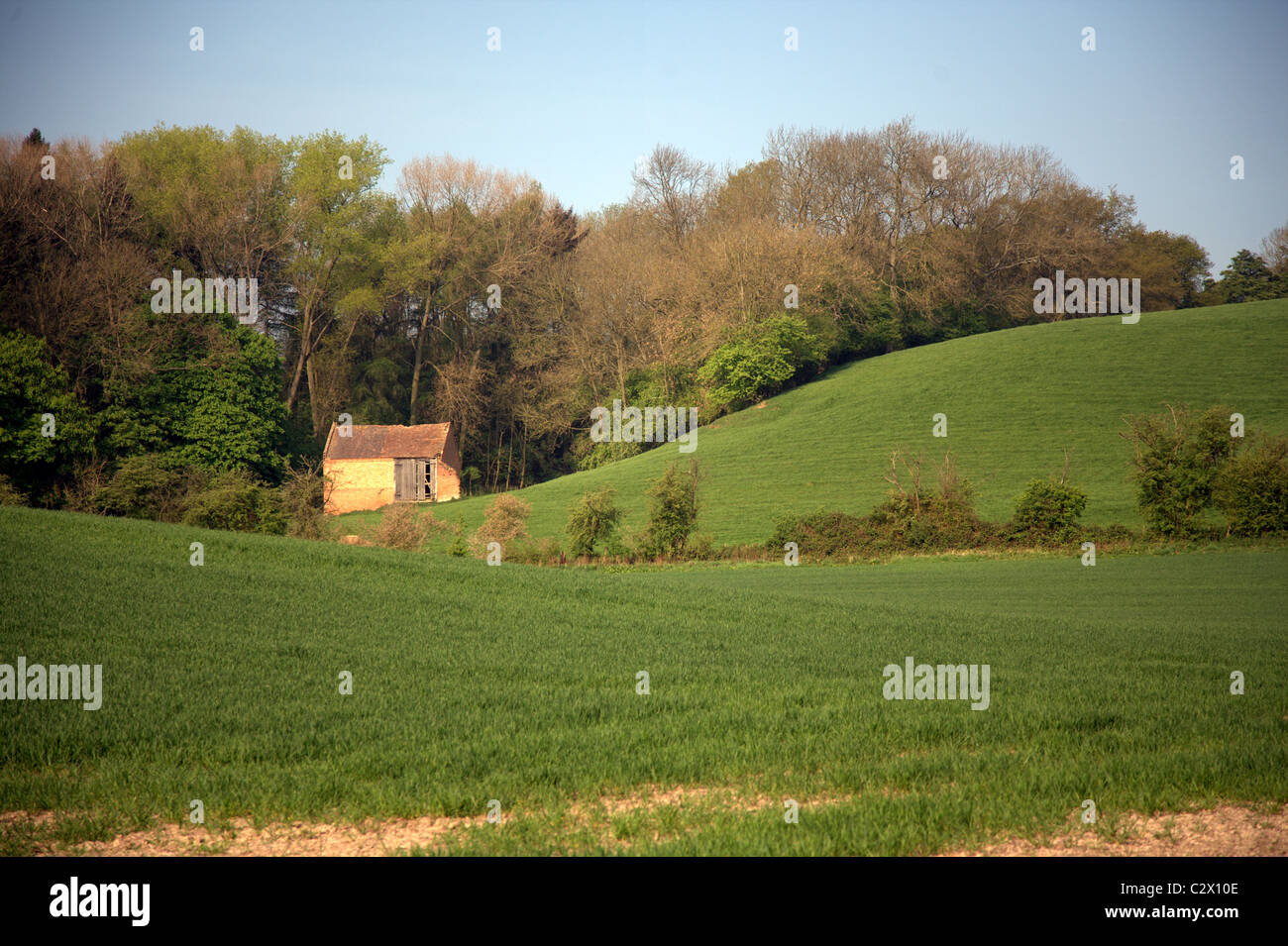 Small hill amongst trees hires stock photography and images Alamy