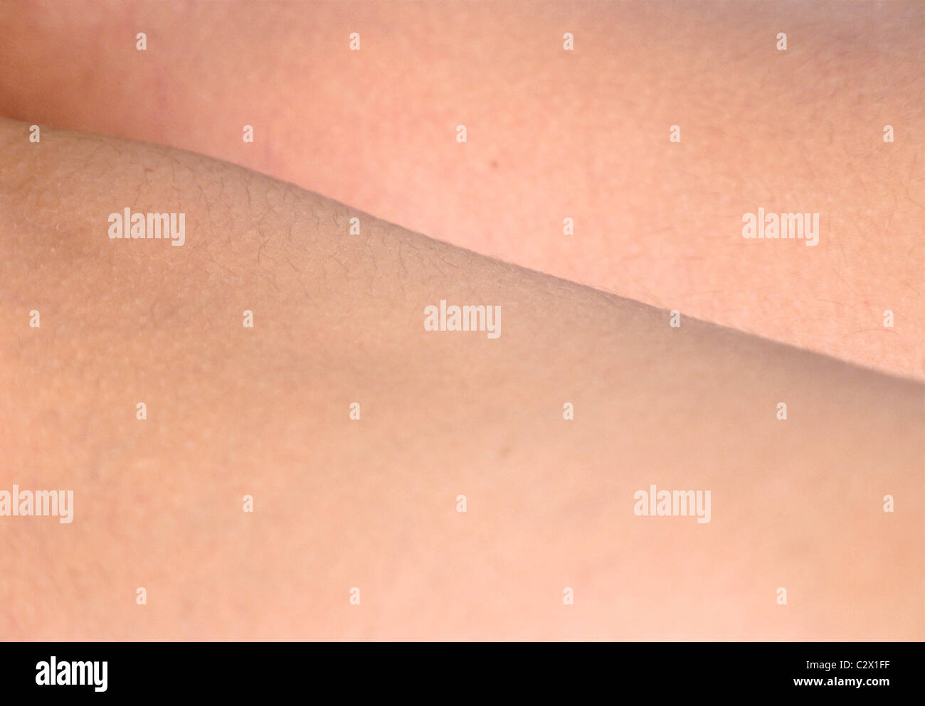 Close Up Female Body Parts Stock Photo Alamy