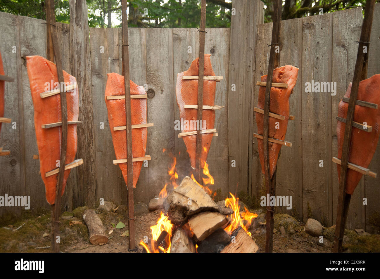 Traditional Native American Salmon bake with a fire Stock Photo