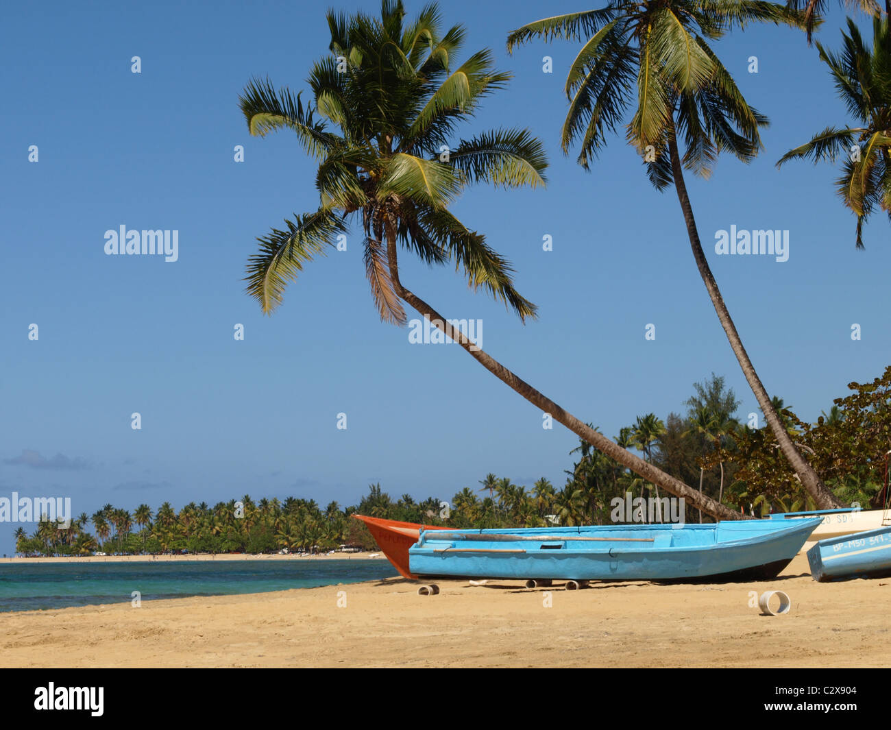 A blue fishing boat under palm trees on the beach in Las Terrenas