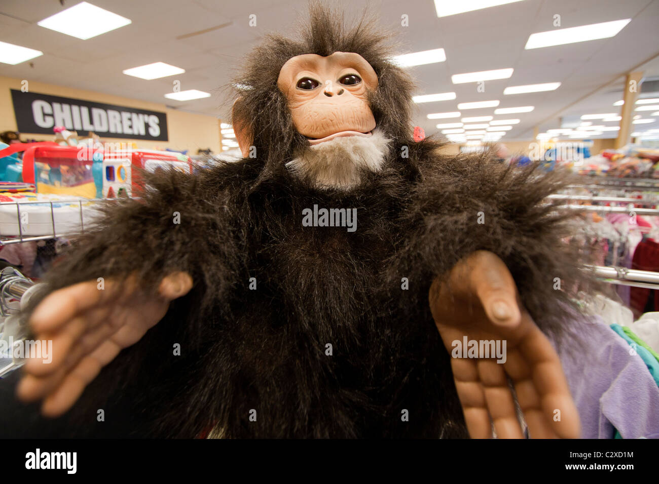 A creepy looking toy monkey at a thrift store. Stock Photo