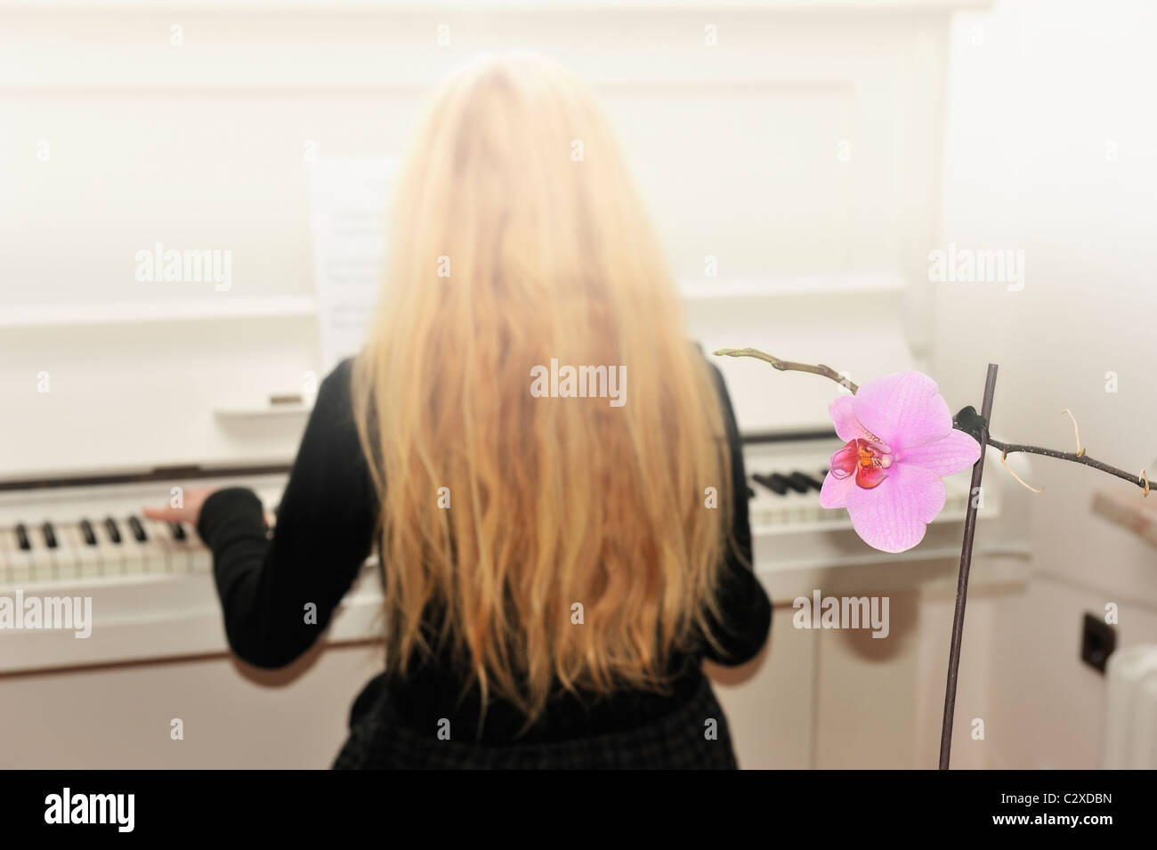 Woman playing the white piano. Stock Photo