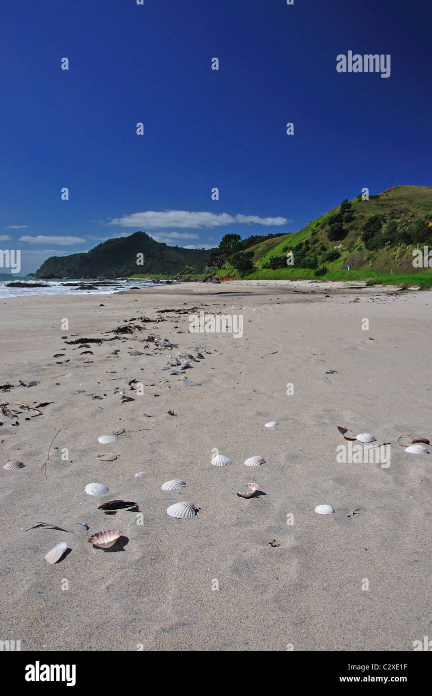 Kuaotuna Beach, Kuaotuna, Coromandel Peninsula, Waikato Region, North Island, New Zealand Stock Photo