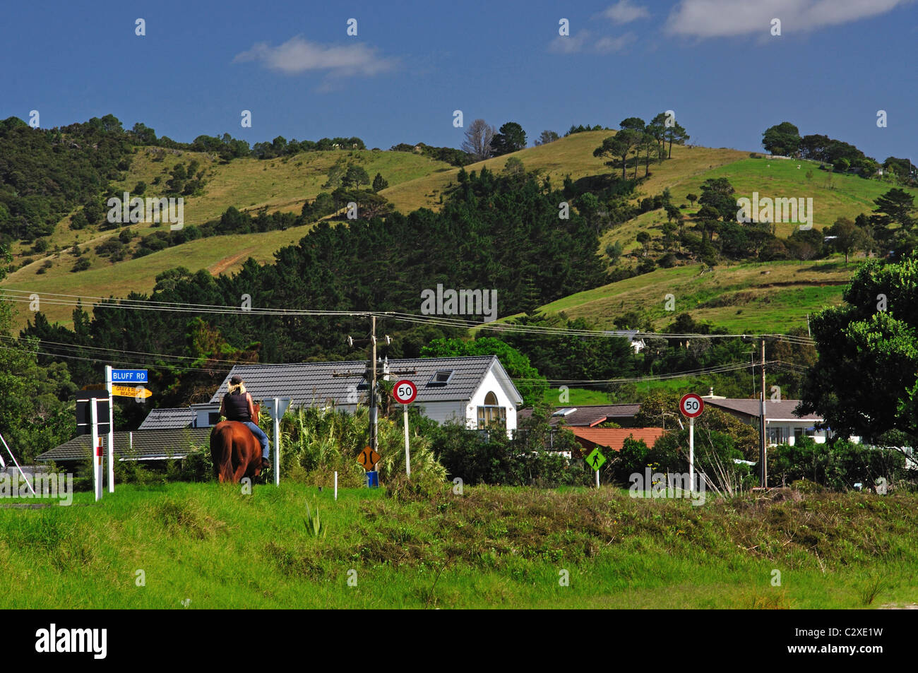 Kuaotuna, Coromandel Peninsula, Waikato Region, North Island, New Zealand Stock Photo