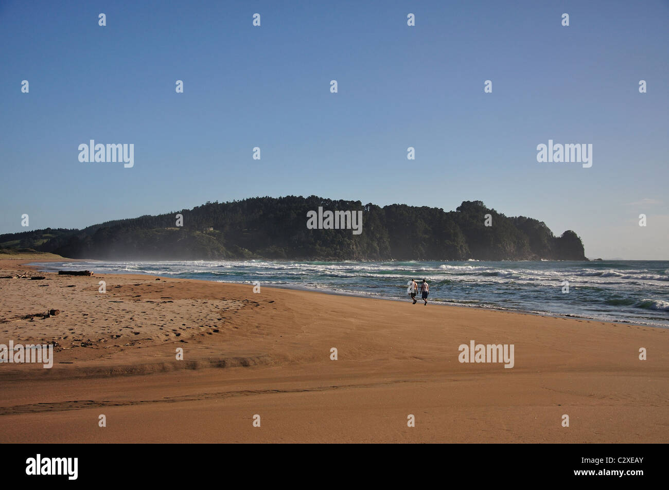 Hot Water Beach, Mercury Bay, Coromandel Peninsula, Waikato Region, North Island, New Zealand