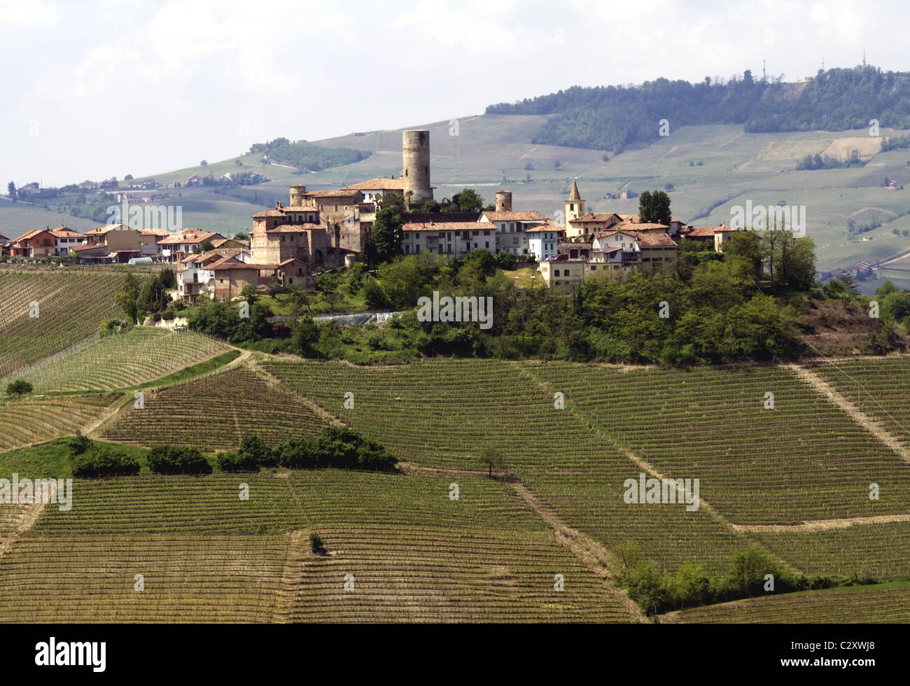 Piemont Alba High Resolution Stock Photography And Images Alamy