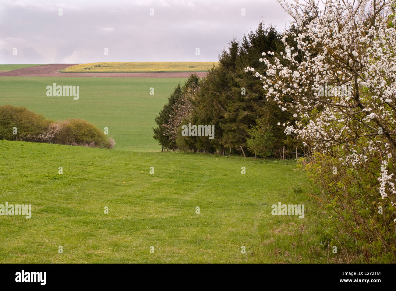 A British spring counrtyside scene of rolling hills Stock Photo