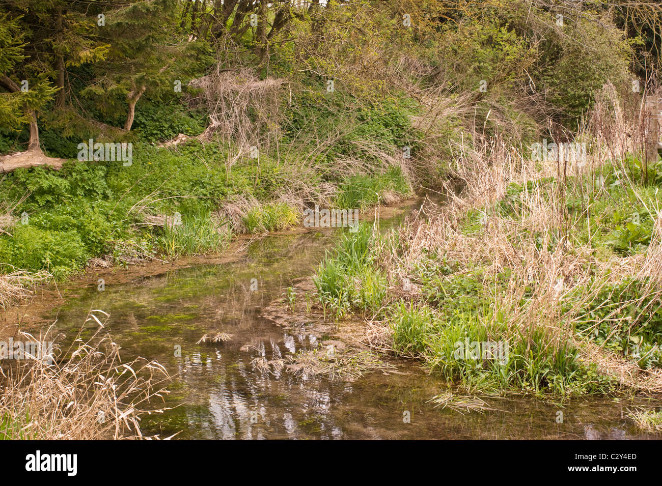 Countrysides Traditional Rivers Countryside scene with a river hi-res stock photography and images - Alamy