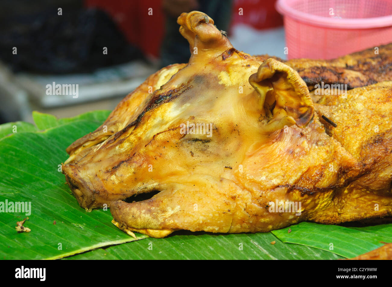 roasted pig's head sold in the night market of Chiang Mai, Thailand