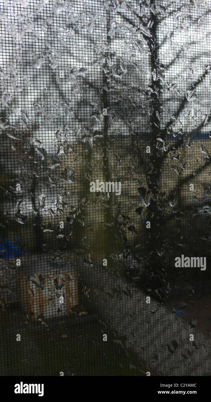 View through window on rainy hi-res stock photography and images - Alamy