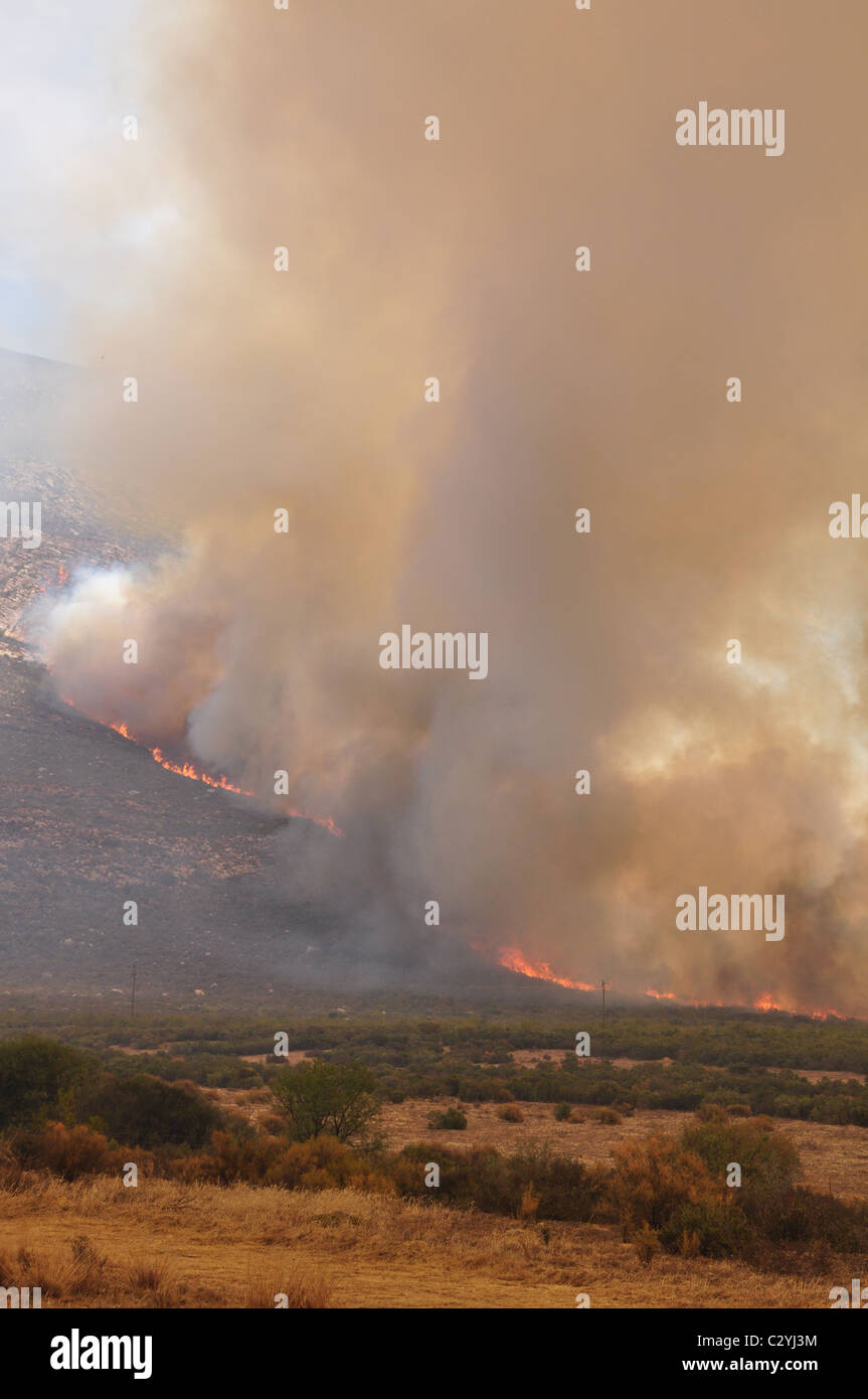 Bush Fire that is out of control, flames, smoke, landscape Stock Photo