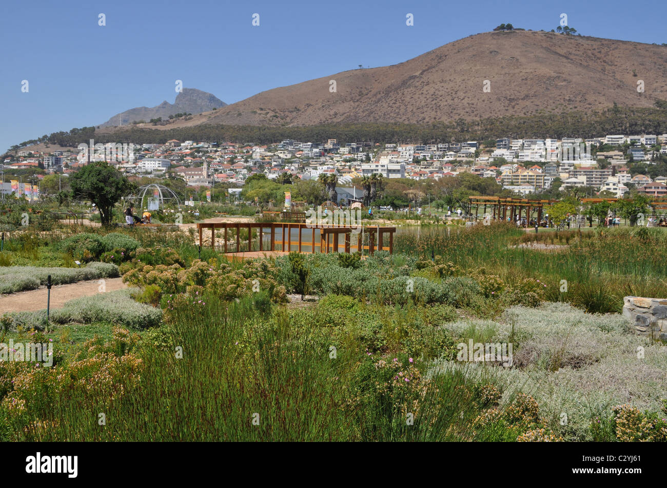 Park in the Green Point area in Cape Town Stock Photo