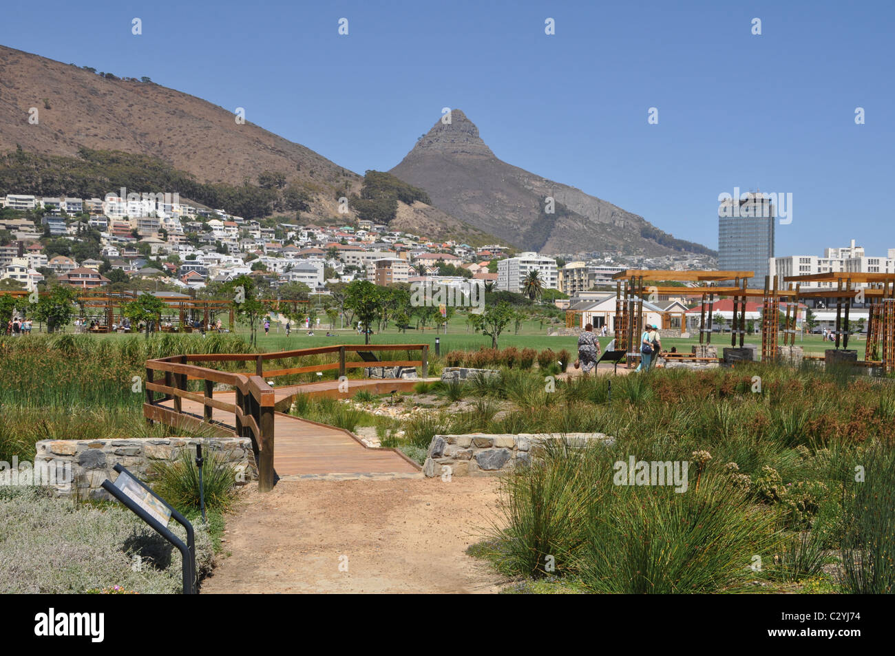 Green Point Park Cape Town Hi res Stock Photography And Images Alamy Green Point Park Cape Town Hi res Stock Photography And Images Alamy