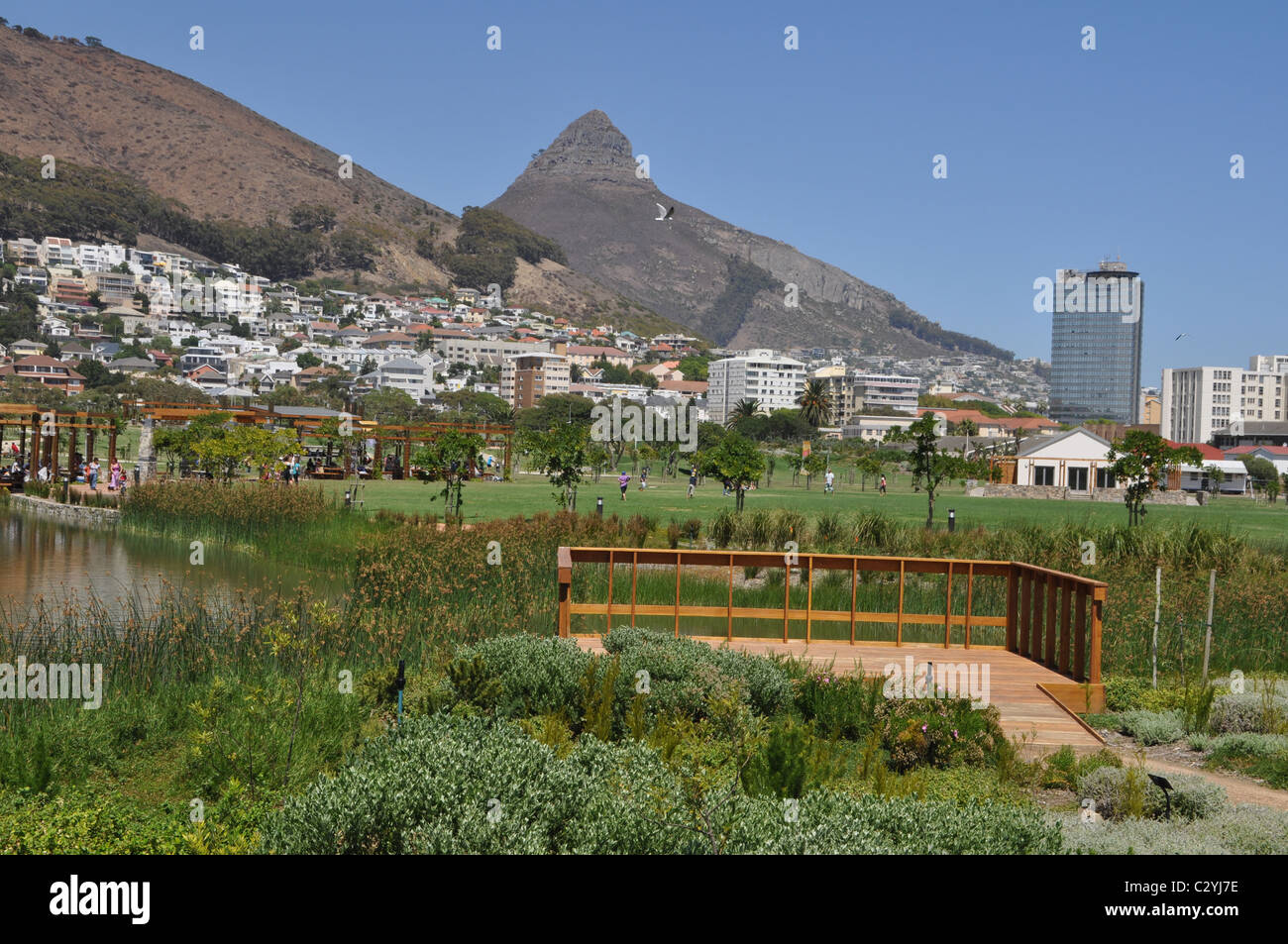 Park in the Green Point area in Cape Town Stock Photo