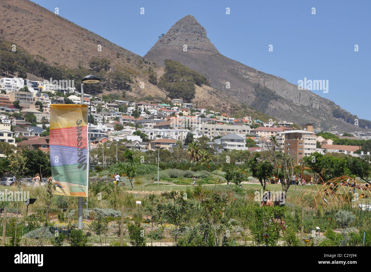 Park in the Green Point area in Cape Town Stock Photo