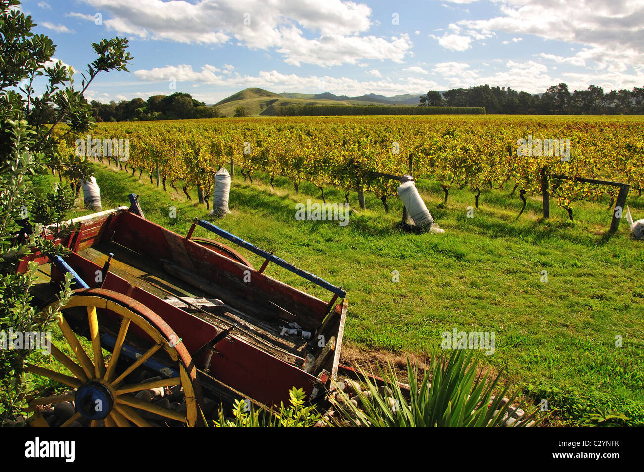 Crab Bay Winery, Bay View, near Napier, Hawke's Bay, North Island, New Zealand Stock Photo