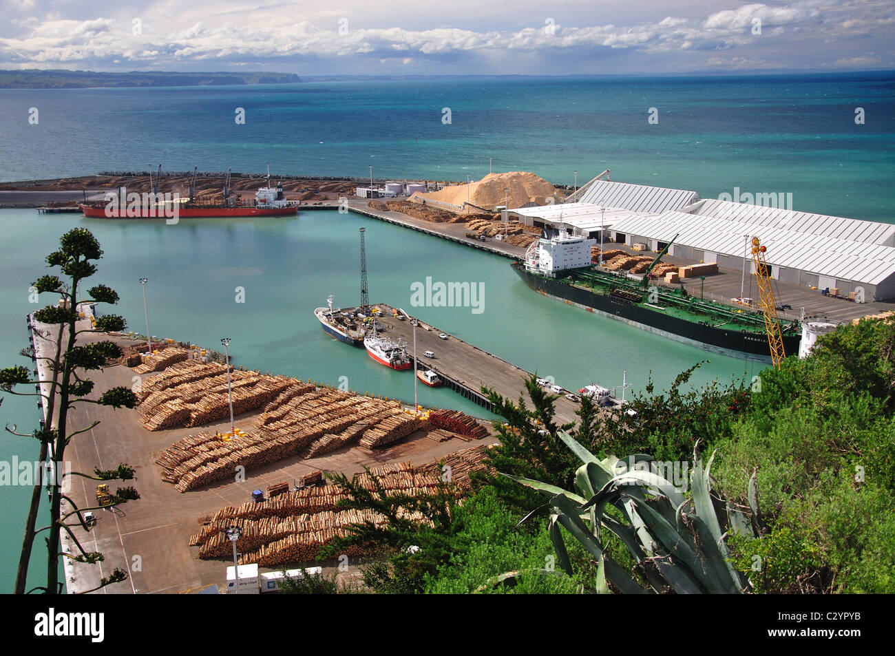 Logging ship in Napier Harbour, Napier, Hawke's Bay, North Island, New